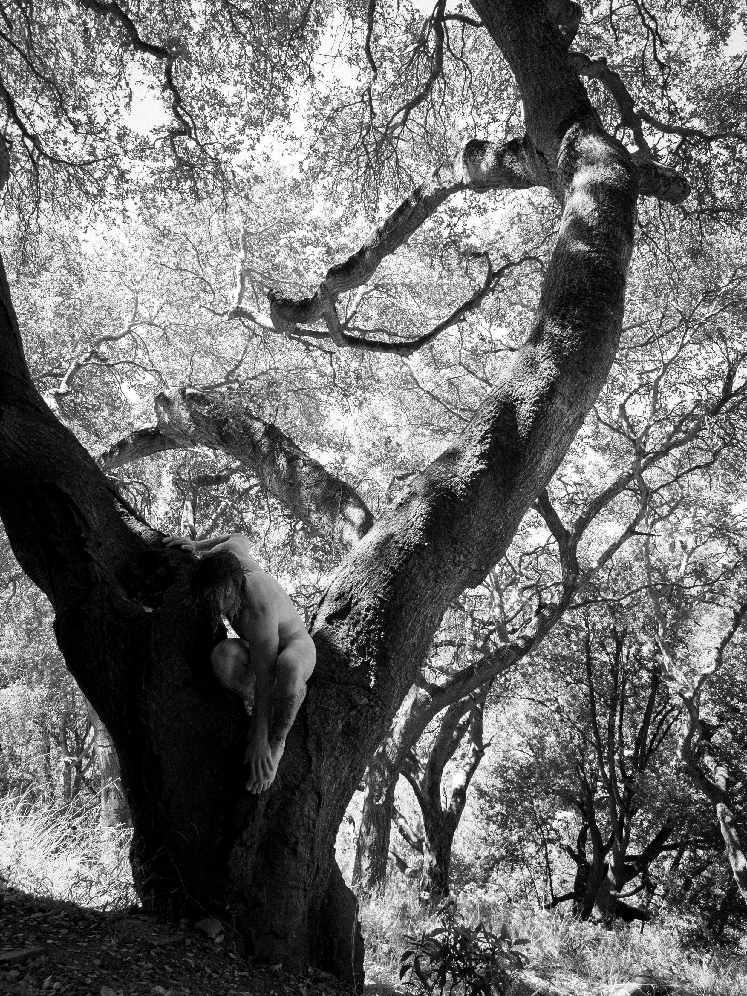 [outdoors][bnw][solo]