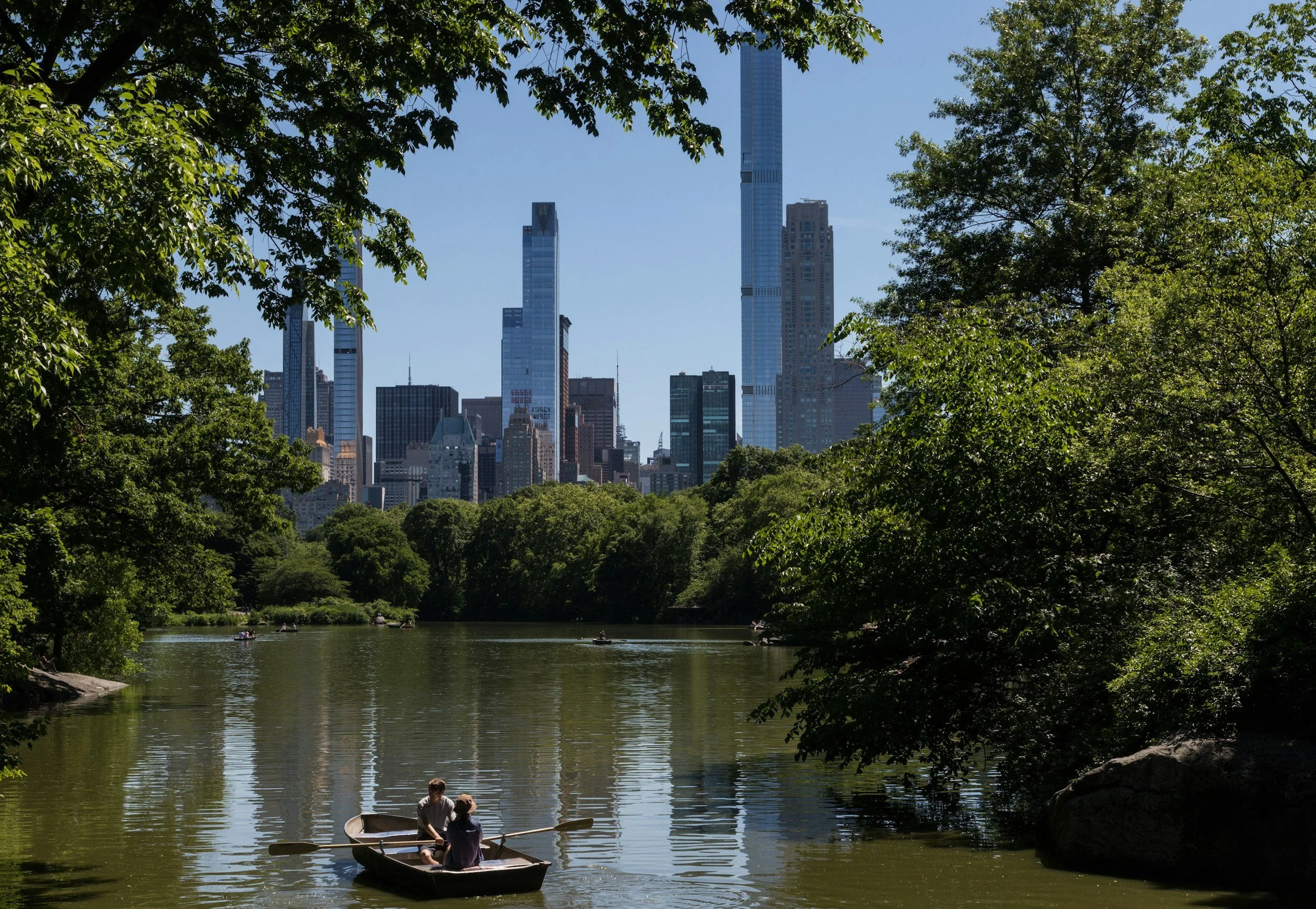 People rowing a boat in Central Park's pond with a city skyline in the background and trees surrounding the scene.
