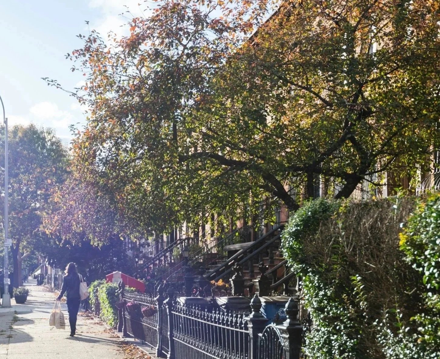 Individual walking down a quiet treelined street in New York City