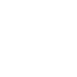 Wine glass