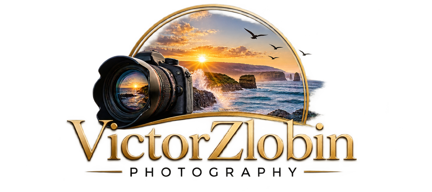 Logo for Victor Zlobin Photography with a scenic sunset landscape of the ocean, cliffs, and flying birds seen through a camera lens and a real camera.