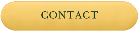 Button labeled 'CONTACT' on a yellow gradient background.