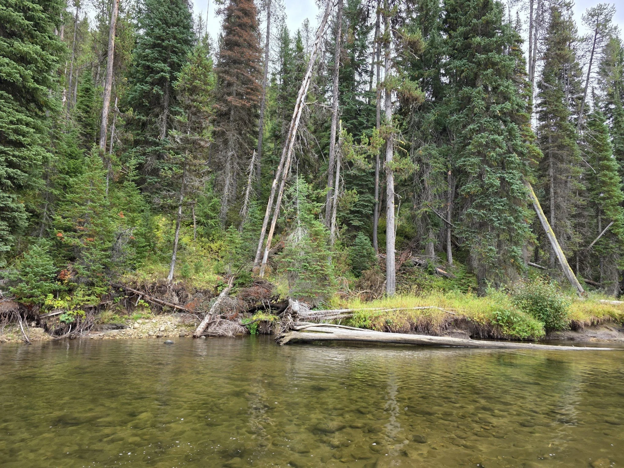 River view in deadwood idaho