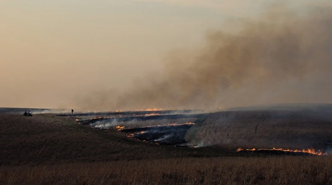The Art of Prescribed Fire