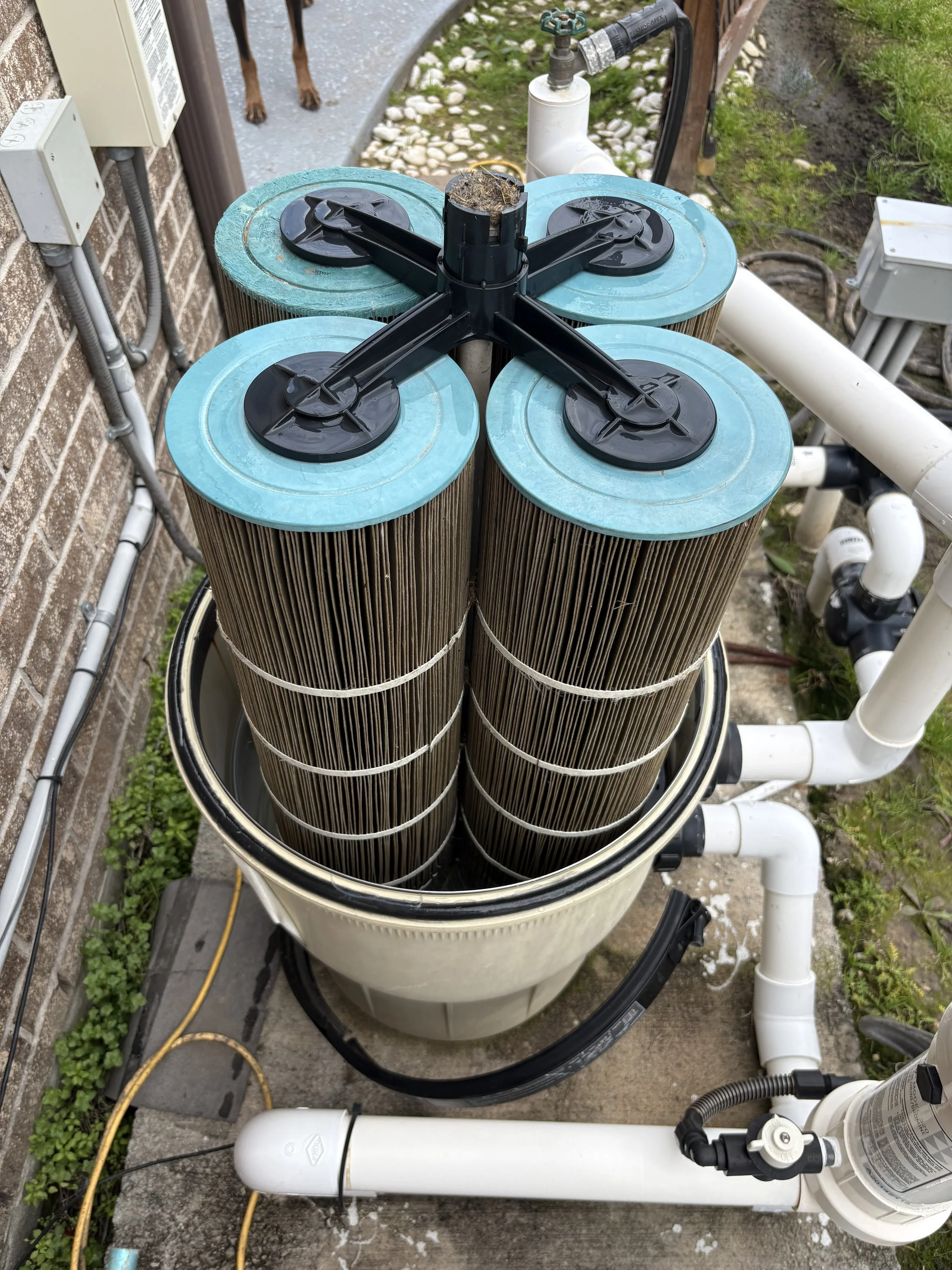 A water filtration system with four large vertical filter cartridges, connected to white PVC pipes and other plumbing components. A dog is standing nearby on a concrete surface.