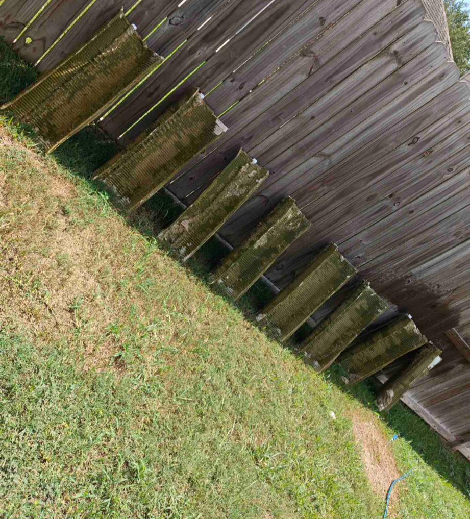Side view of a wooden fence with moss-covered posts and a grassy backyard.