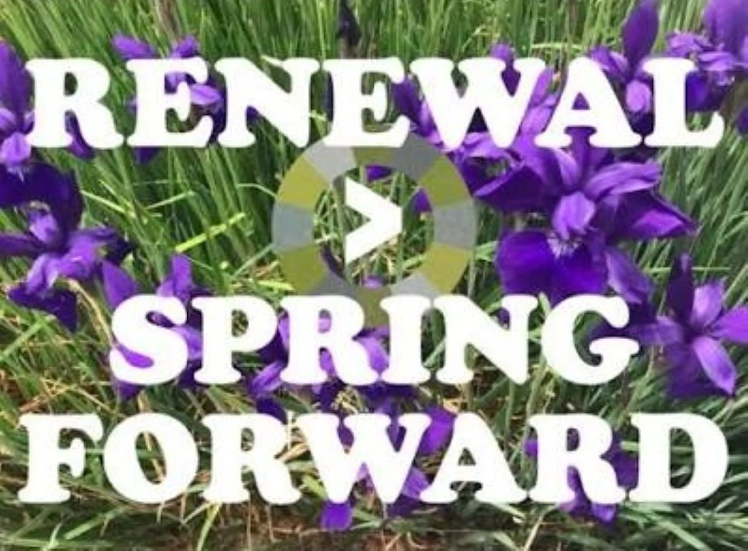 2026 — RENEWAL: Spring forward!