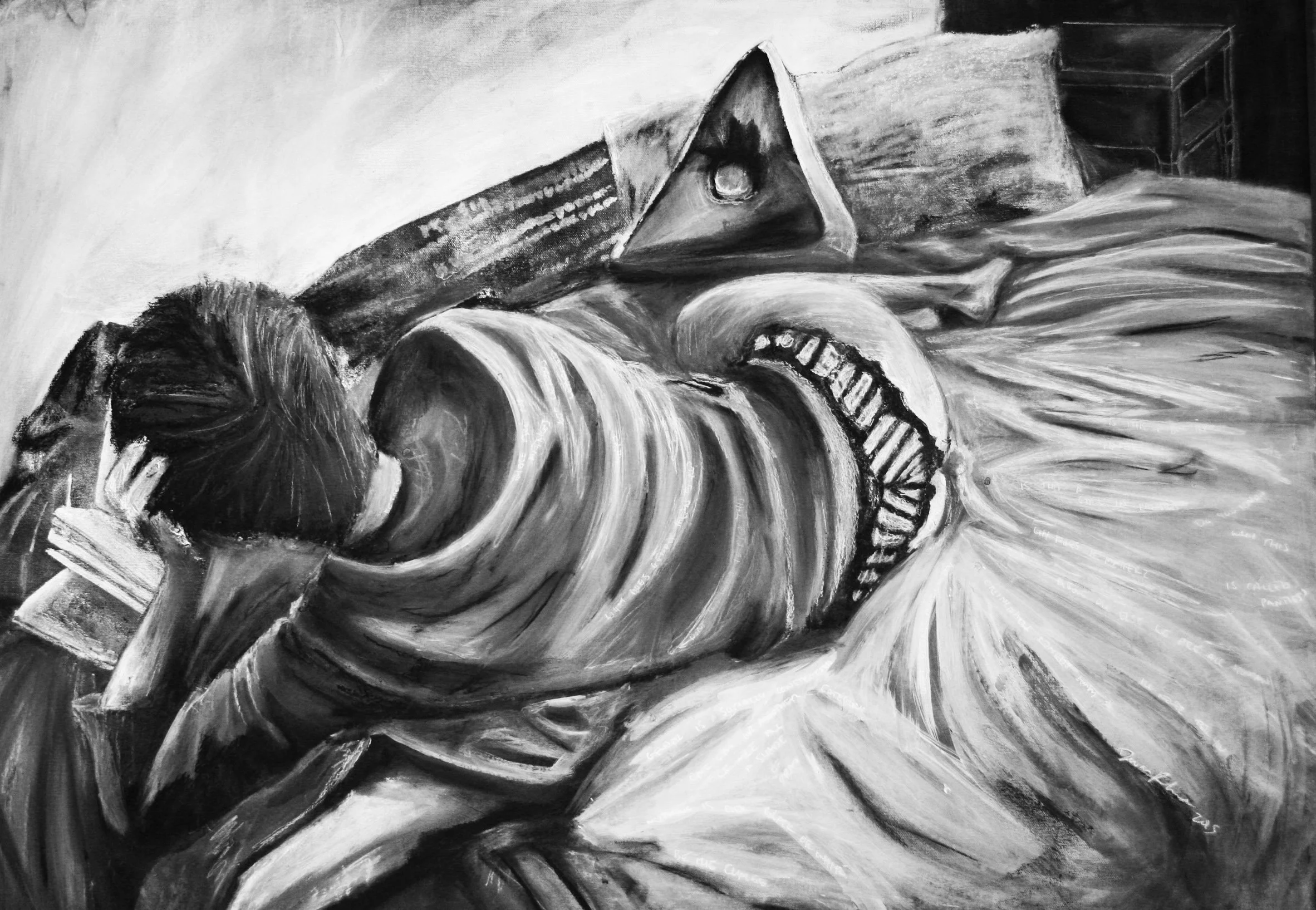 Panties |
2015 |
Charcoal on Canvas |
40 x 30 inches |
$3000