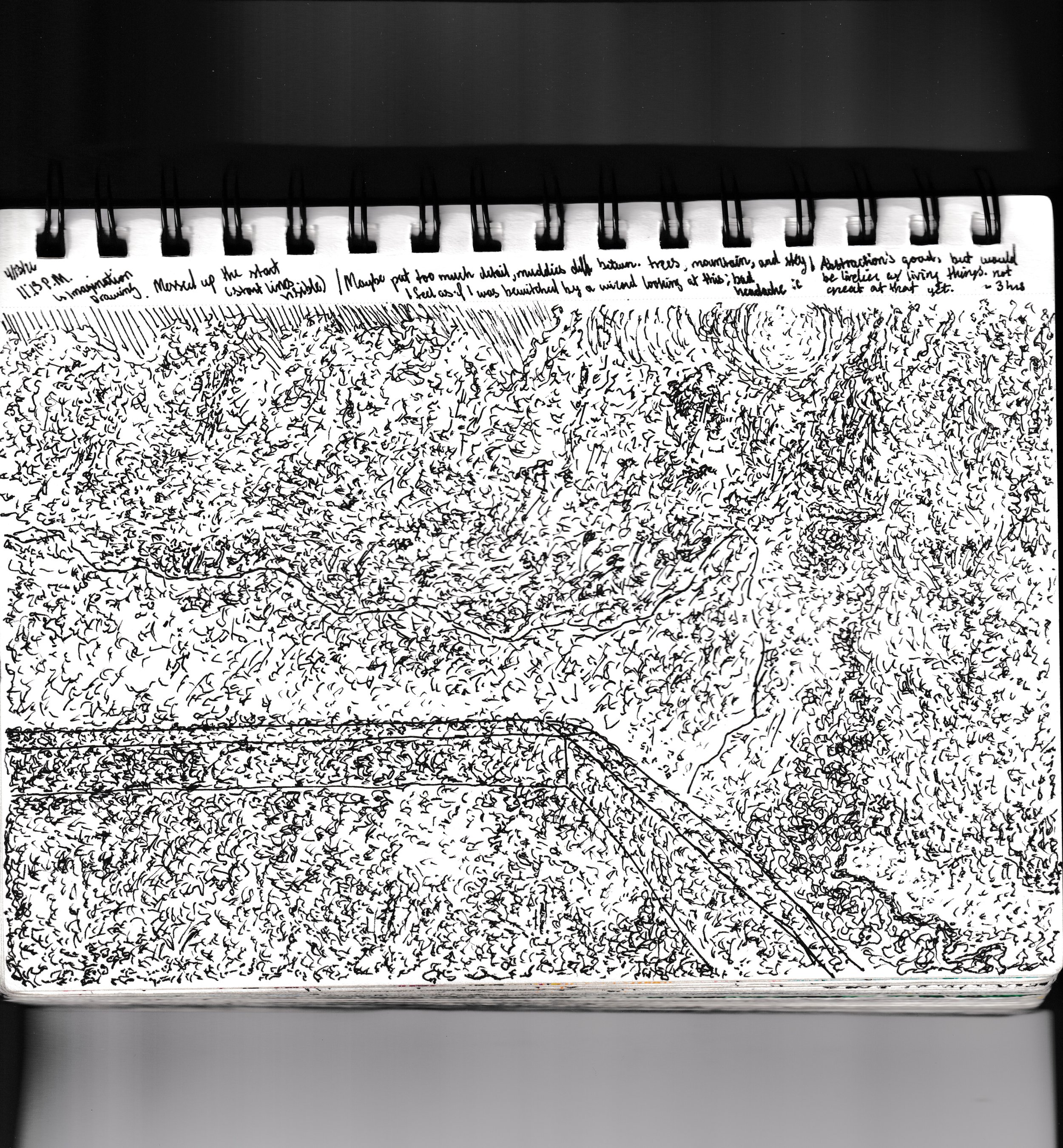 Non-Reference Drawing [4-13-2026]

Sketchbook:
4/13/2026
11:13 P.M.
Imagination Drawing

Messed up the start (Start lines visible)

Maybe put too much detail, muddies the difference between trees, mountain, and sky. I feel as if I was bewitched by a 