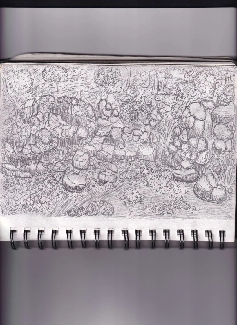 [Central Park Sketching #6] Central Park (Autumn) [11-8-2025]