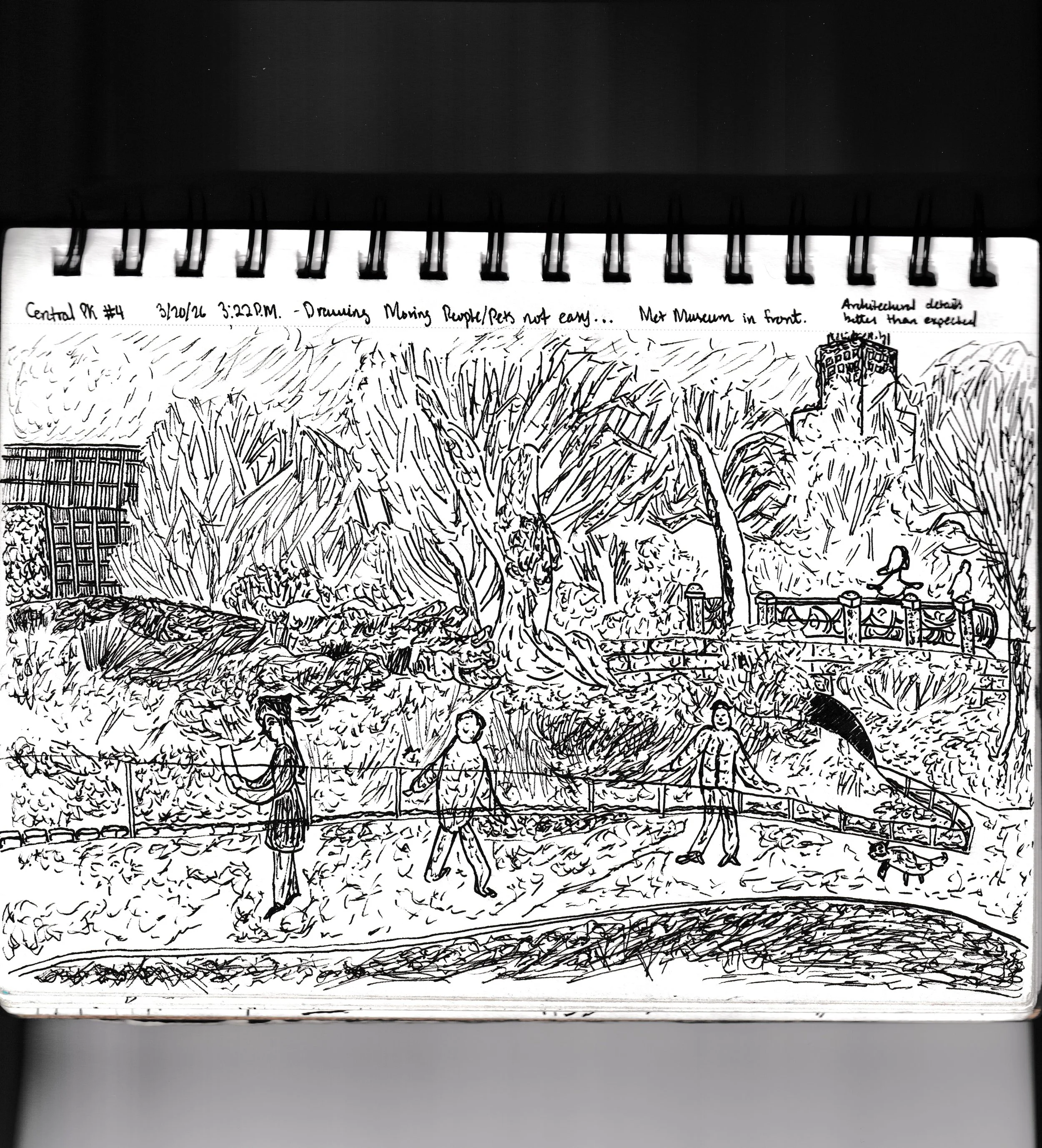 Central Park Pen Sketch #4 [3-20-2026]