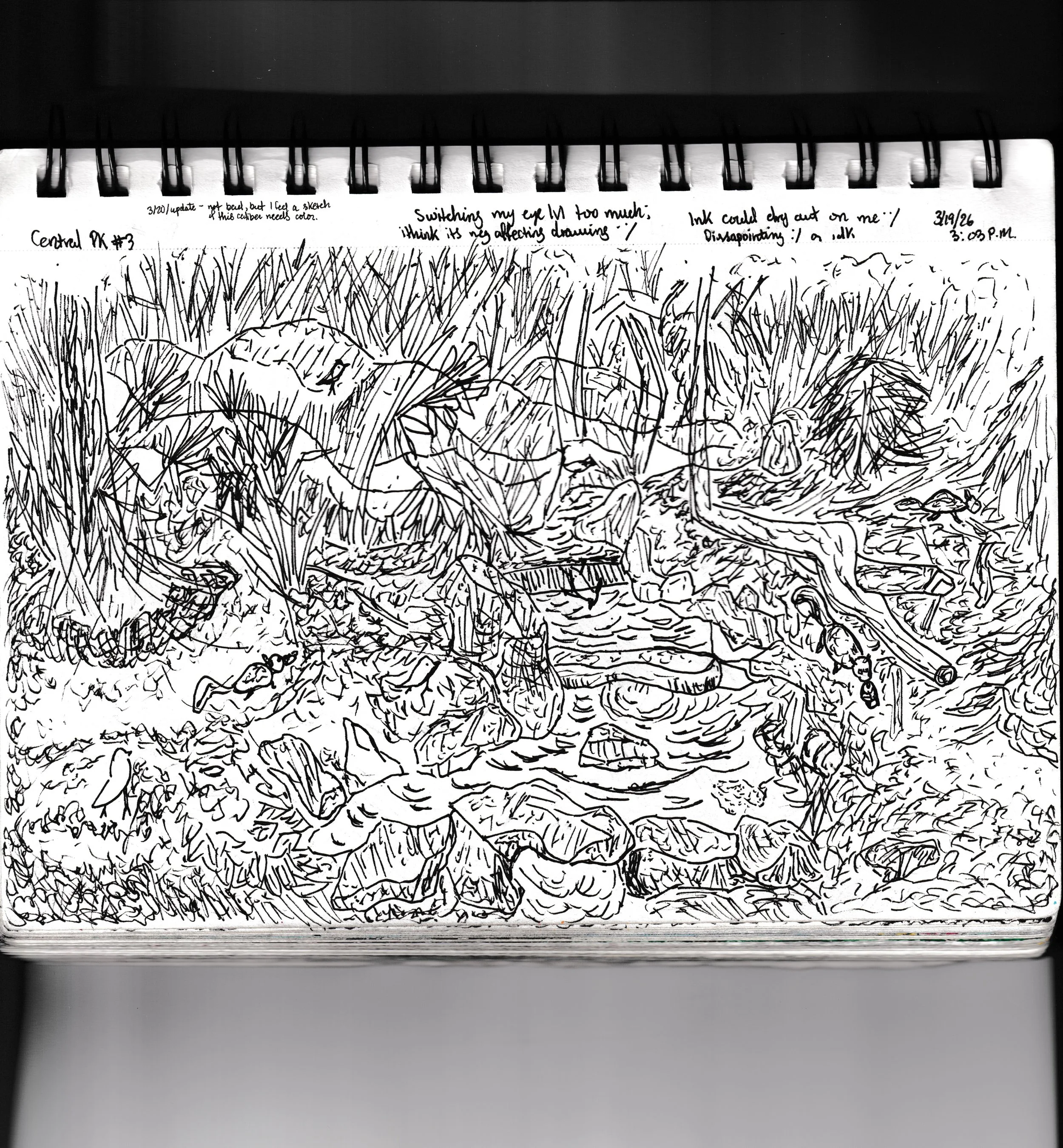 Central Park Pen Sketch #3 [3-19-2026]

Sketchbook:
Messages: (from left to right)

* Central Pk #3

* 3/20 Update - not bad, but I feel a sketch of this caliber needs color.

* Switching my eye lvl too much; I think its negatively affecting drawing 