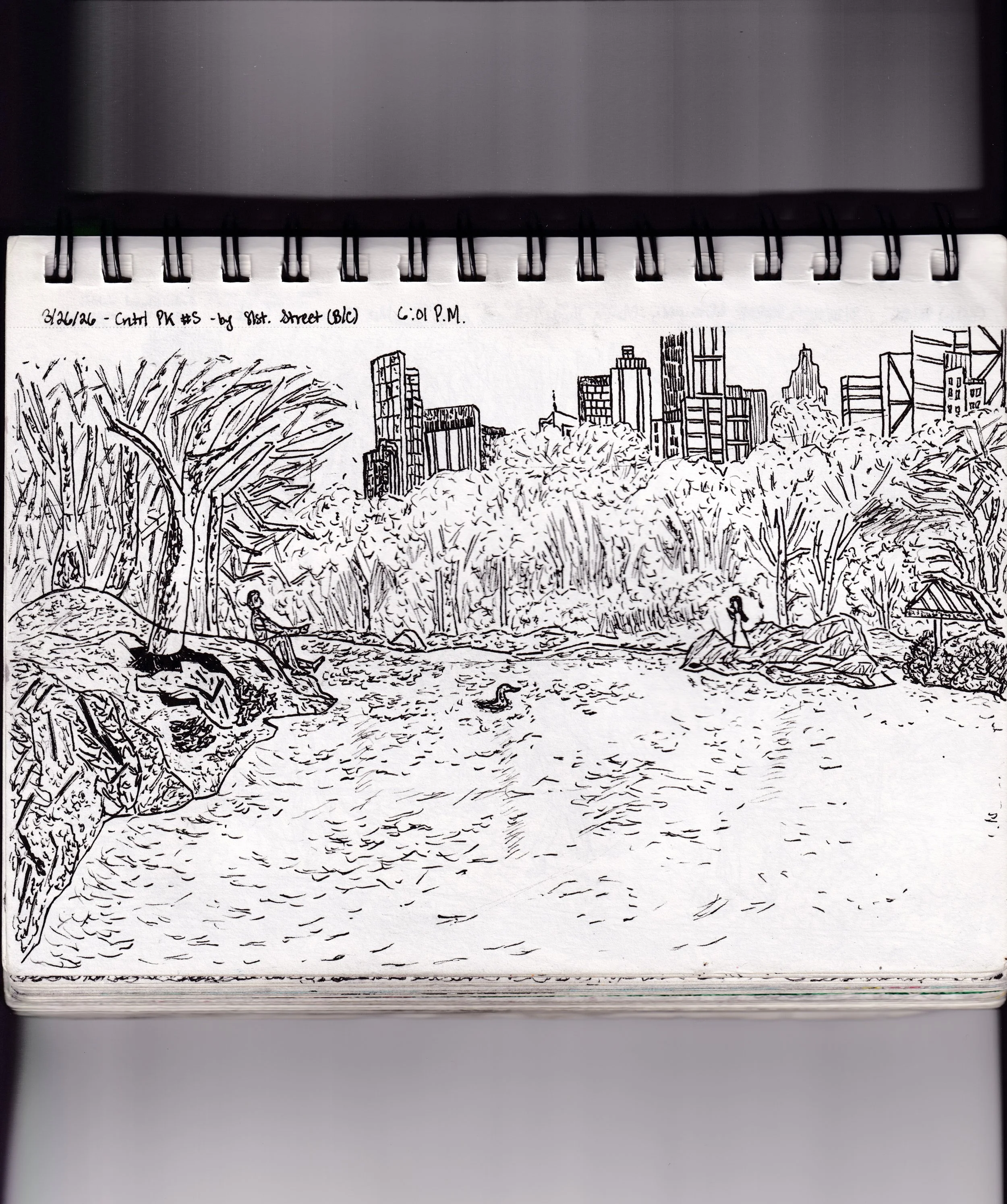 Central Park Pen Sketch #5 (by 81st Street on the B, C trains) [3-26-2026]
