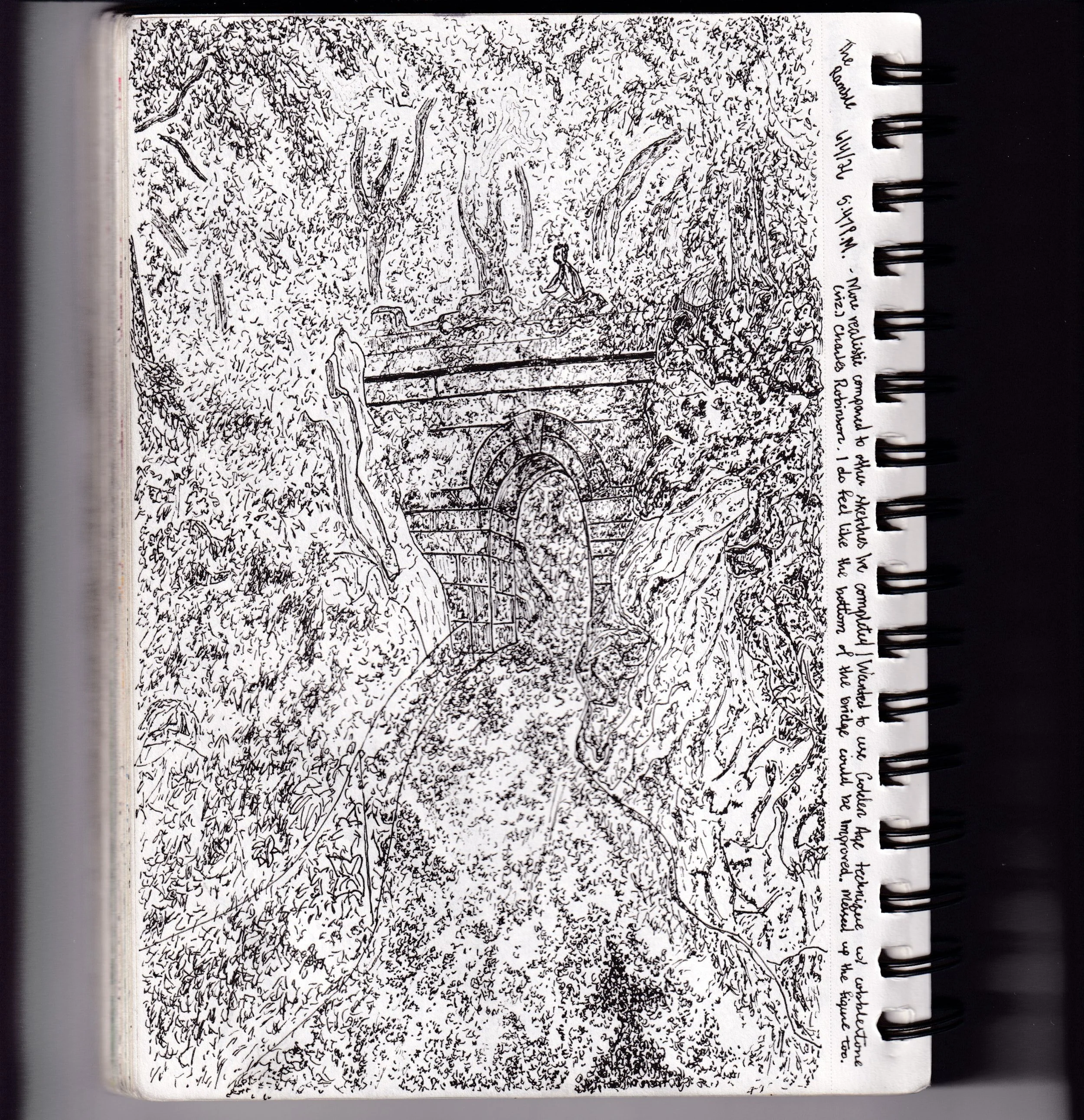 The Ramble (Central Park) [6-4-2026]

Sketchbook:
The Ramble
6/4/2026 - 5:47 P.M.

More realistic compared to other sketches Ive completed | Wanted to use Golden Age technique with cobblestone (viz.) 
Charles Robinson. I do feel like the bottom of th