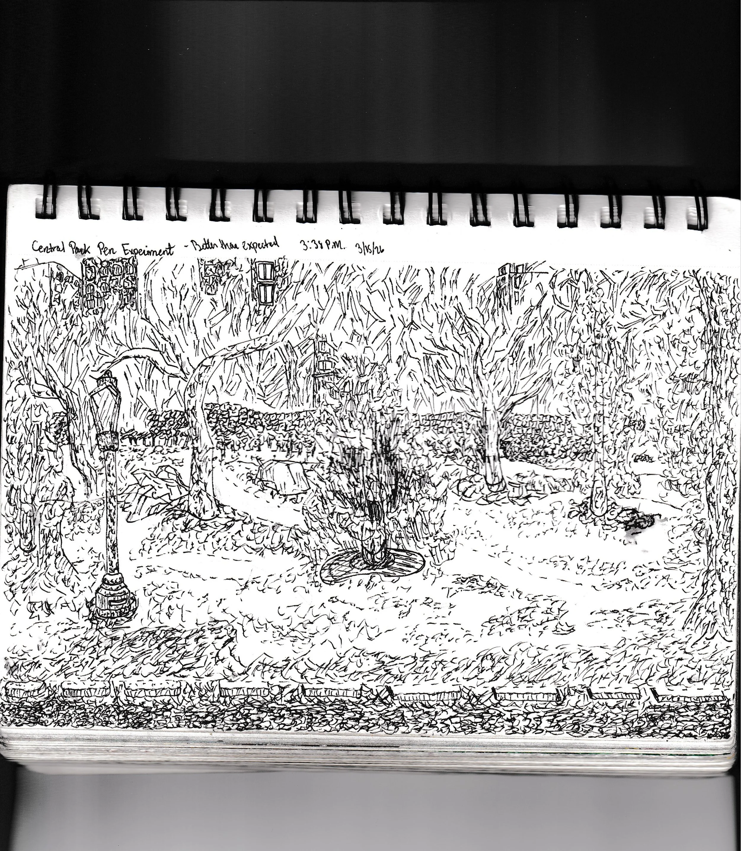 Central Park Pen Experiment [3-15-2026]