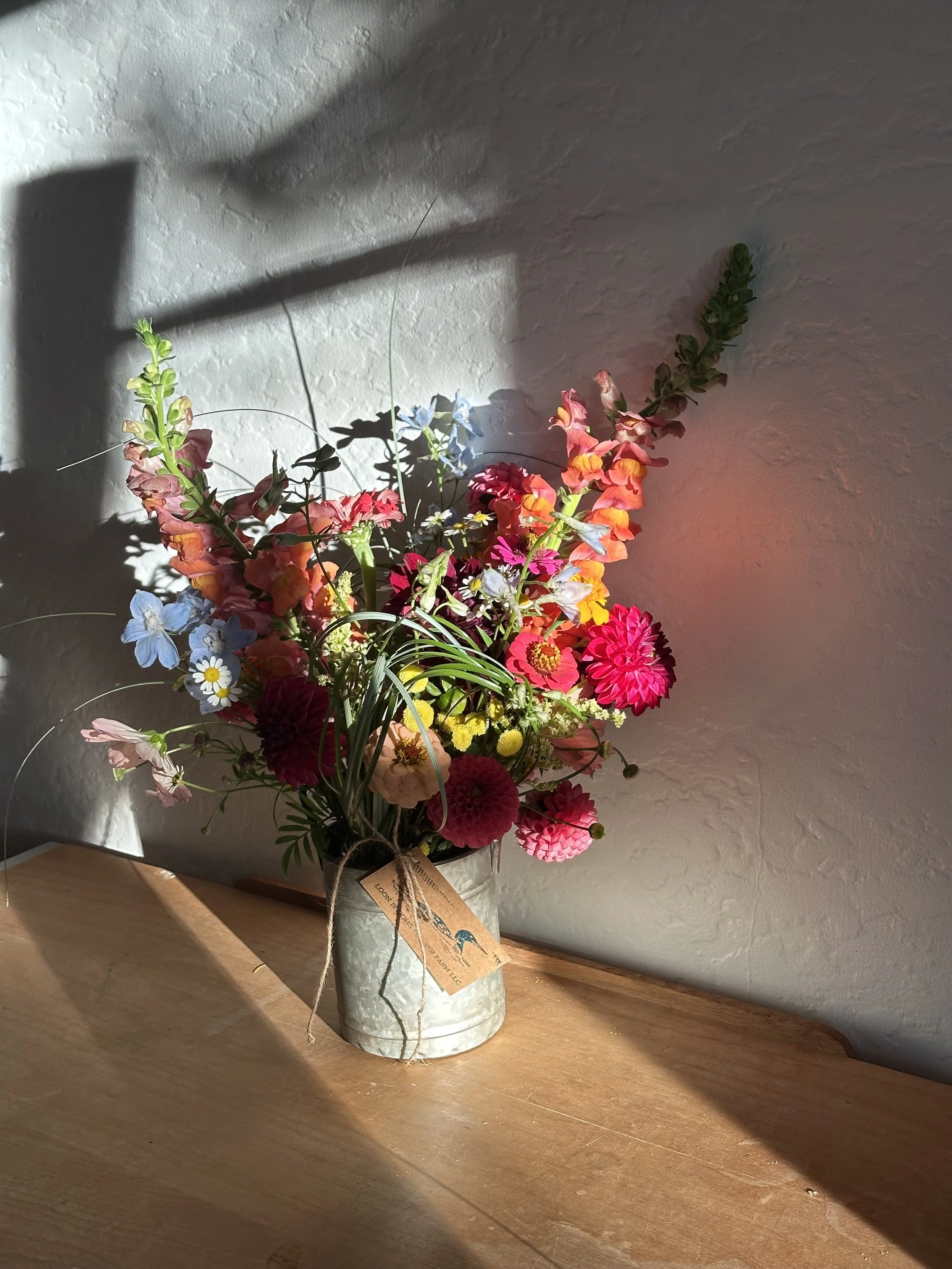 IMG_7143.jpeg