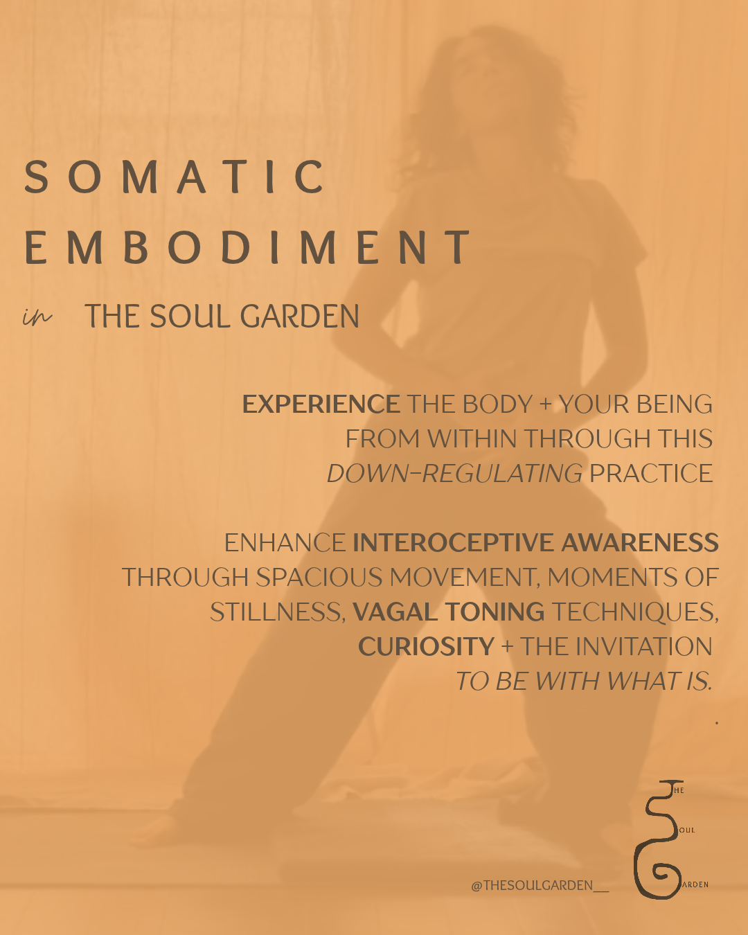 soma + sound collateral (1).png