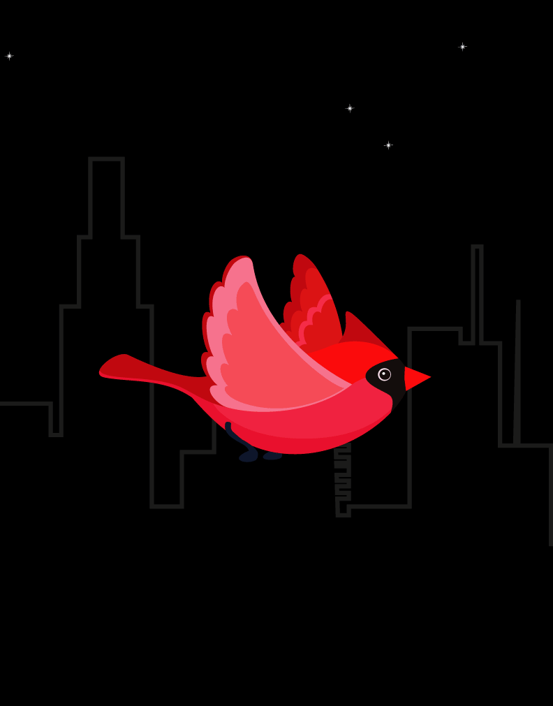 Monica-Ma-bird-animation-gif.gif