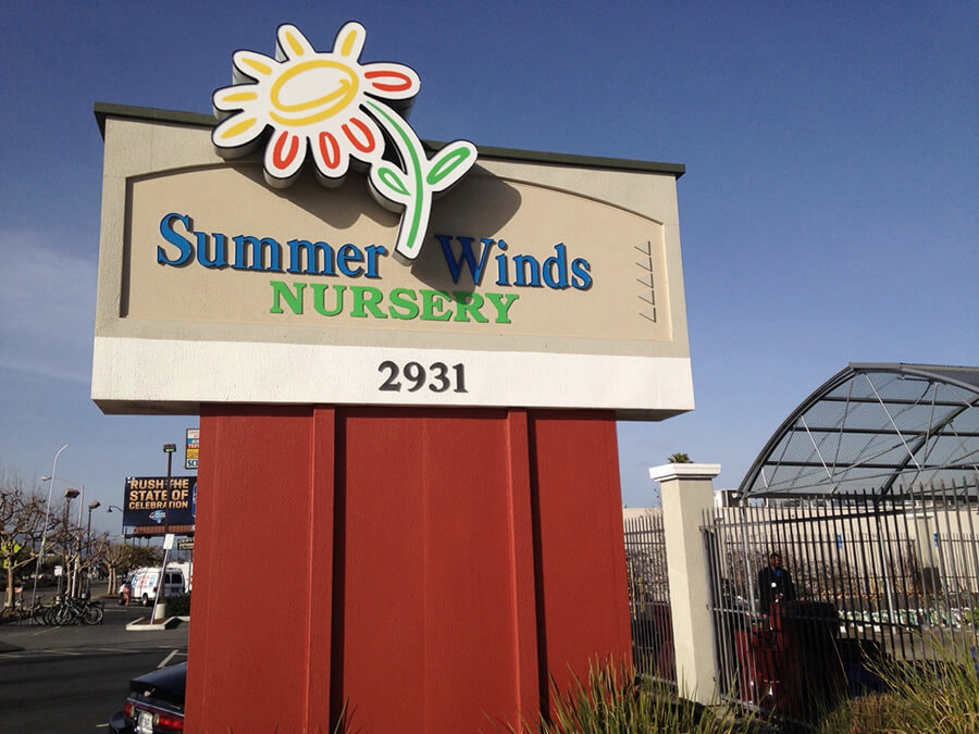 Current Summer Winds Nursery logo