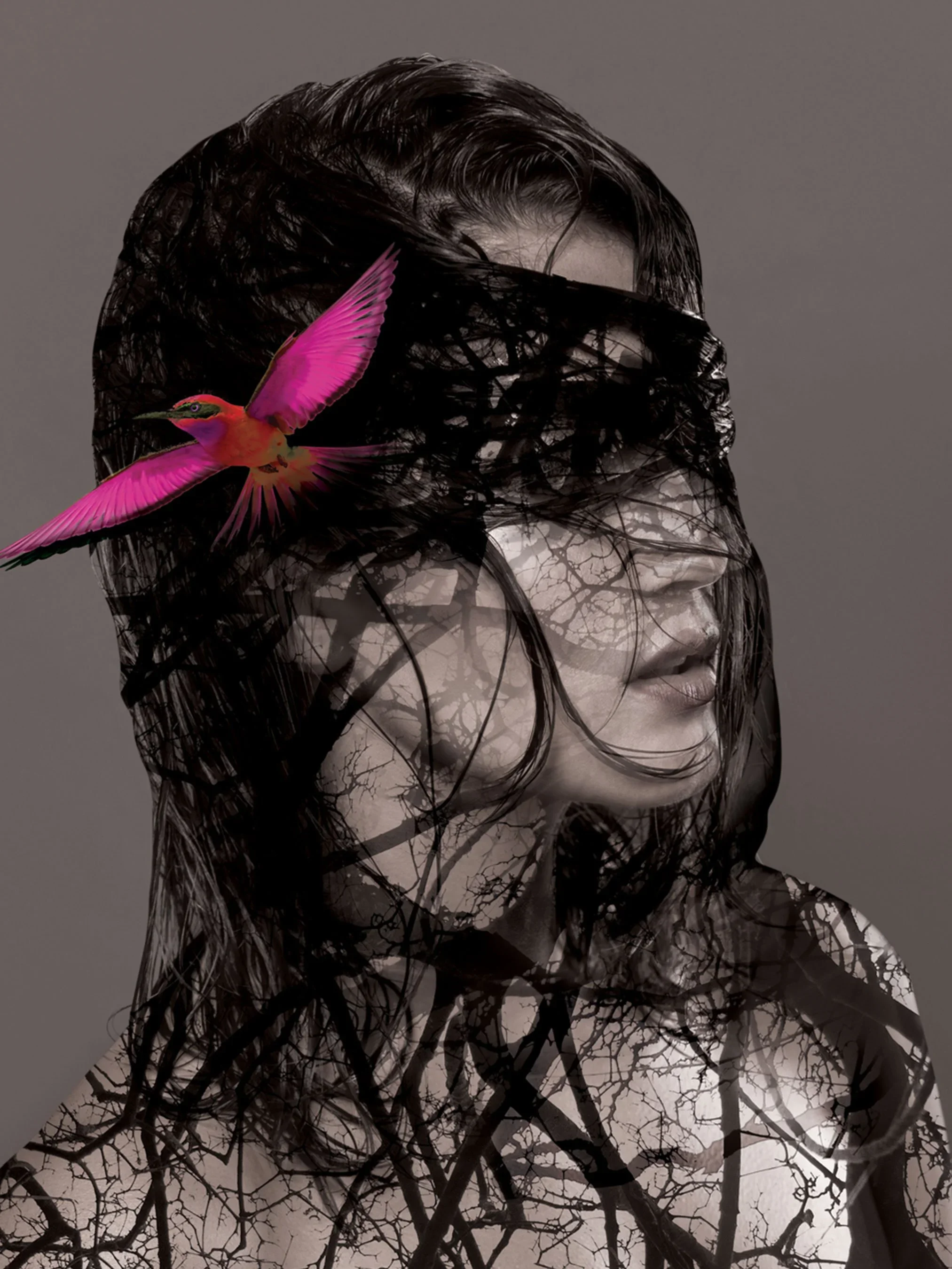 Monica-Ma-Portfolio-in-fashion_3.webp