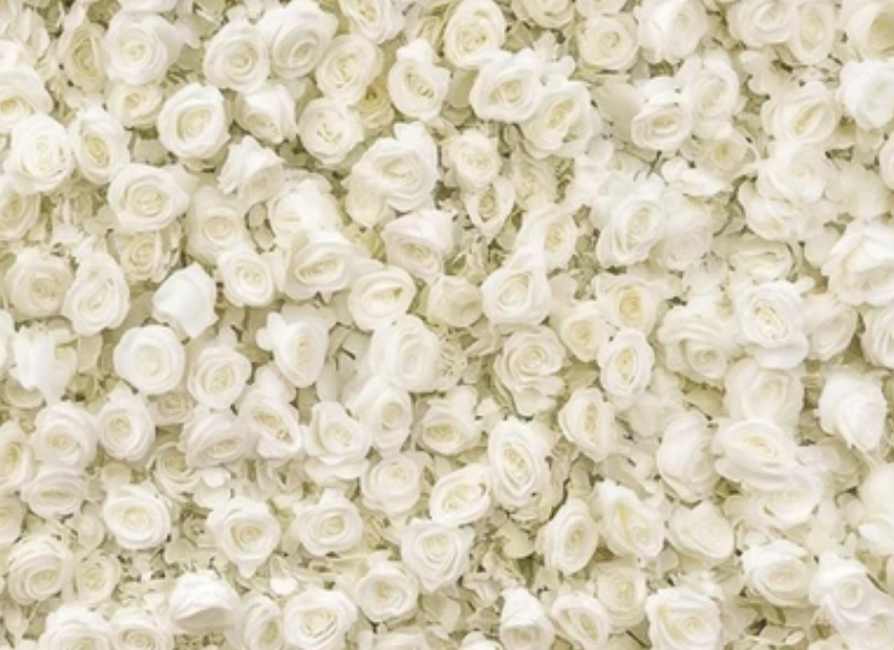 A dense wall of white roses and peonies with soft, layered petals.