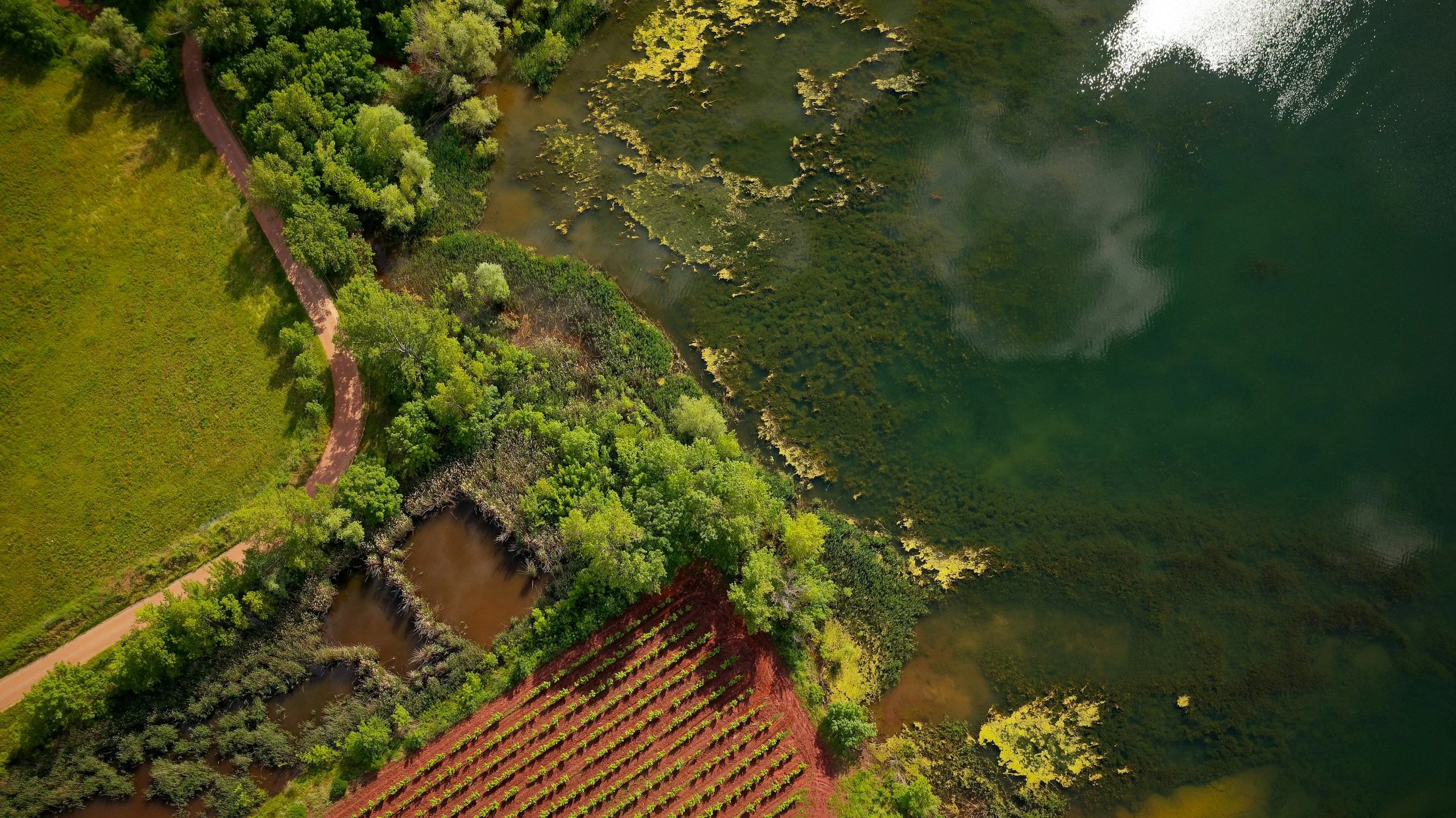Aerial view of a lake and surrounding greenery with a winding pathway on the left side and a small bridge over a water canal in the bottom center.