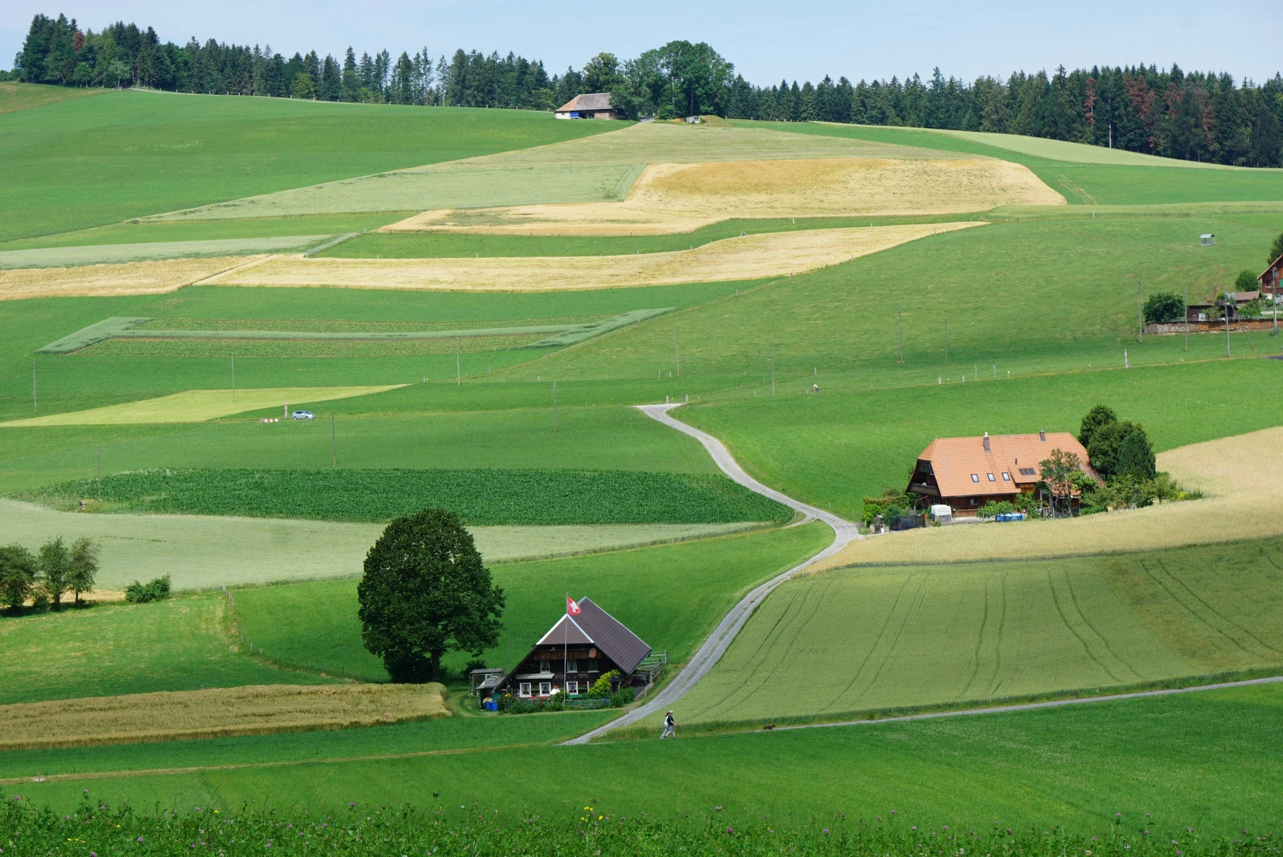 Picturesque landscape of rolling farm fields with a few houses, surrounded by lush green trees, under a clear sky.