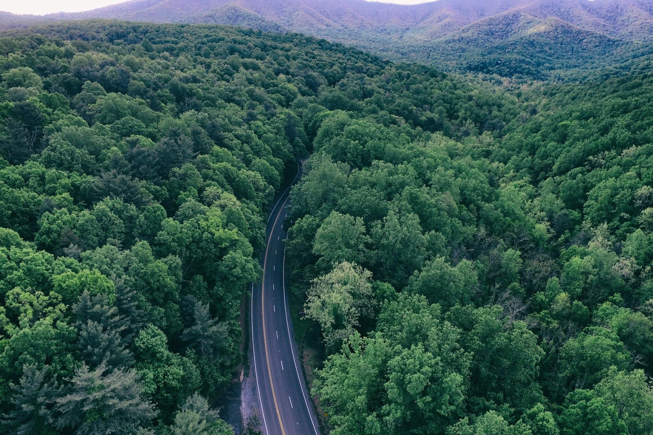 An aerial view of a winding road cutting through a dense green forest with rolling hills in the background.