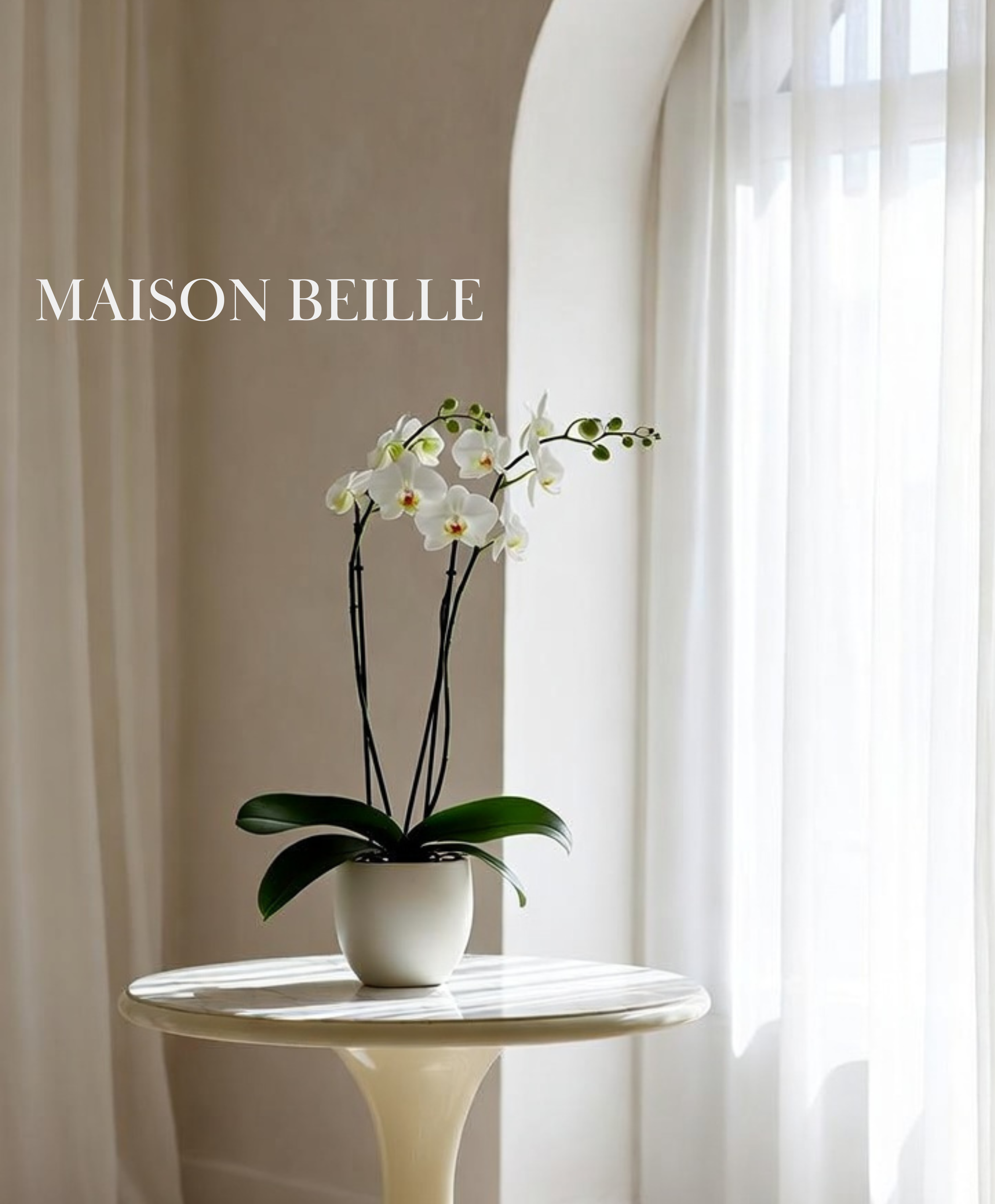 A white vase with an orchid plant featuring white flowers and green leaves, placed on a small table in front of a window with sheer white curtains.