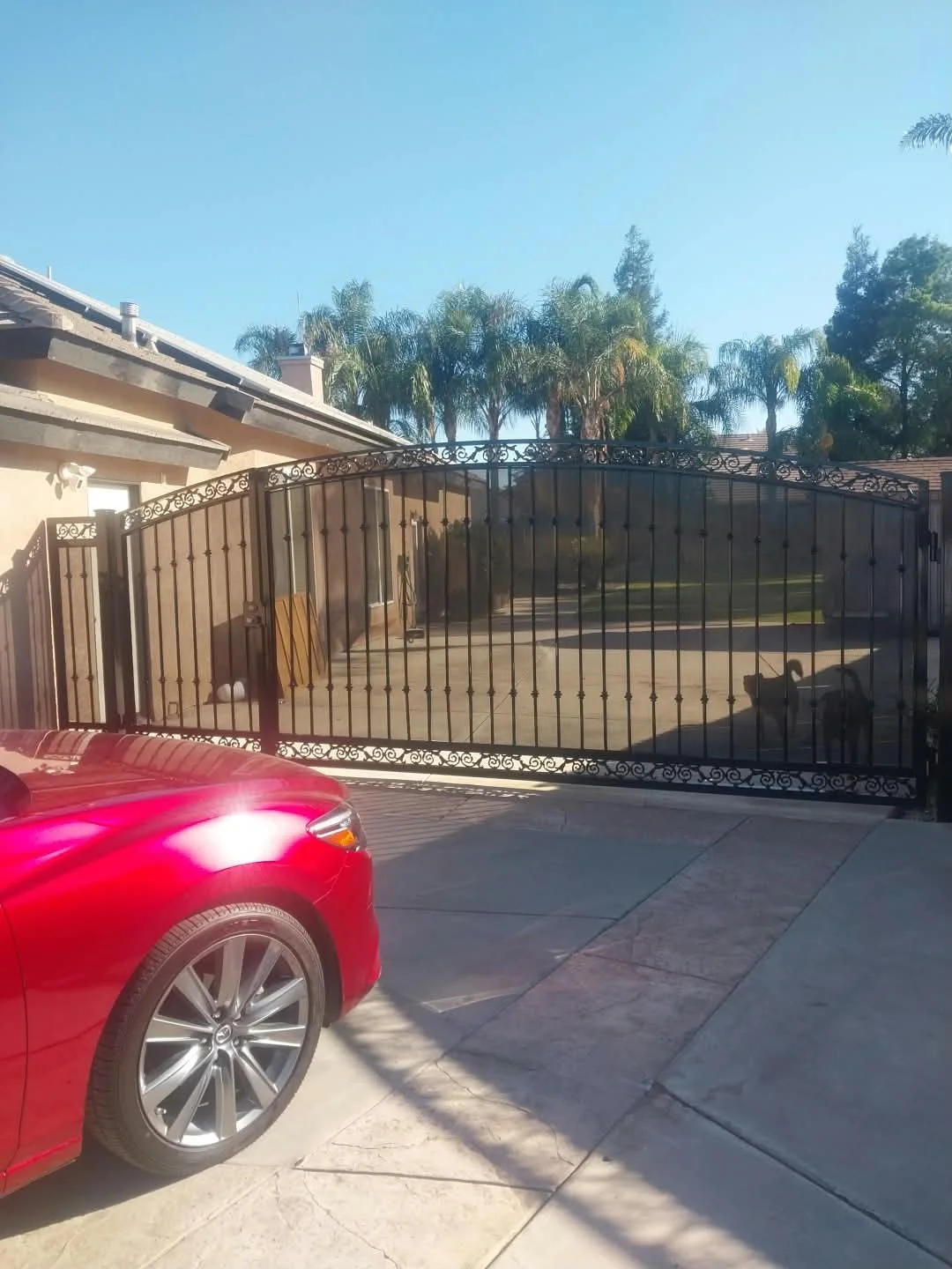 View of a house yard with a black iron gate, a red car in the foreground, and palm trees in the background on a sunny day.