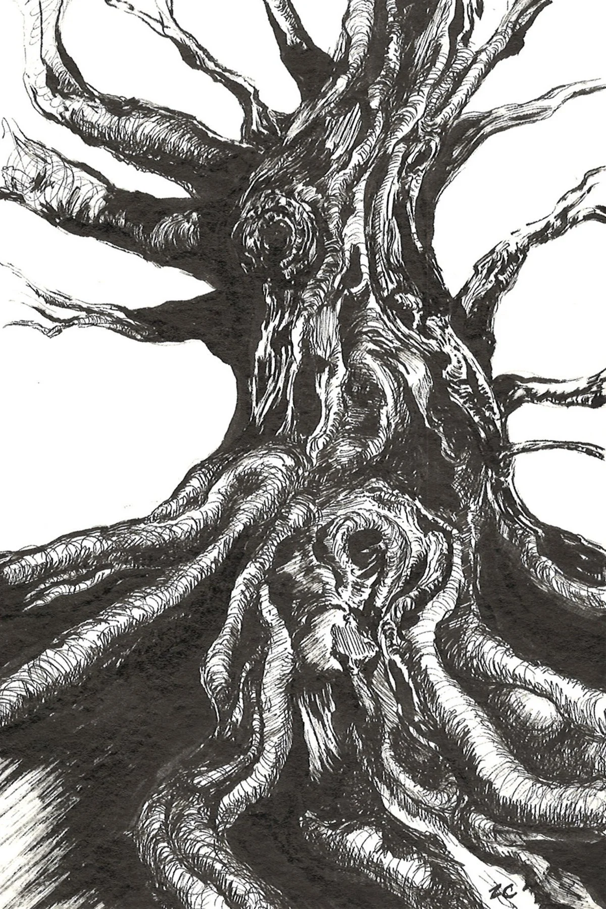 Tree Study IV