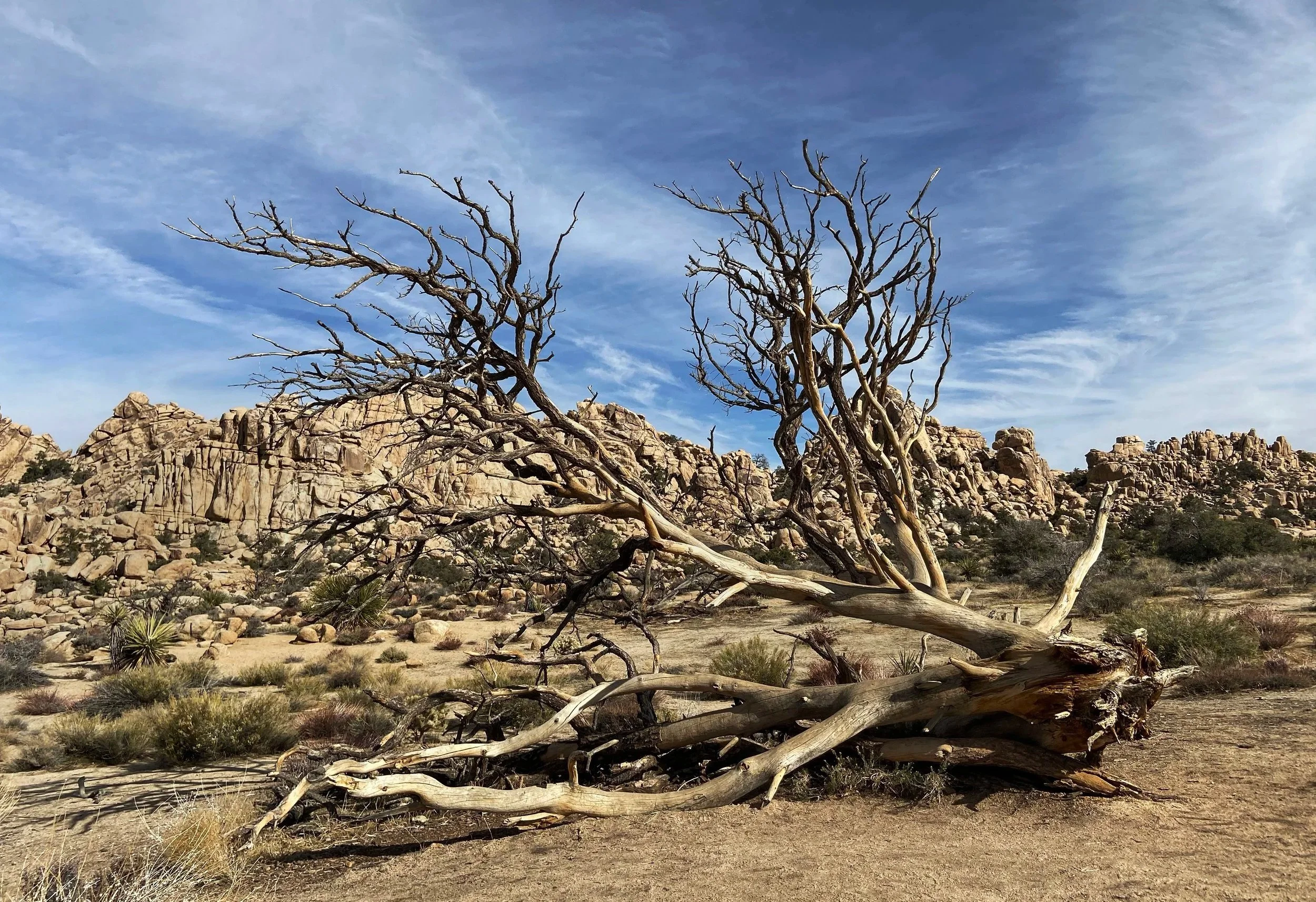 A desert landscape with rocky hills, scattered vegetation, and a dead tree in the foreground under a partly cloudy sky.