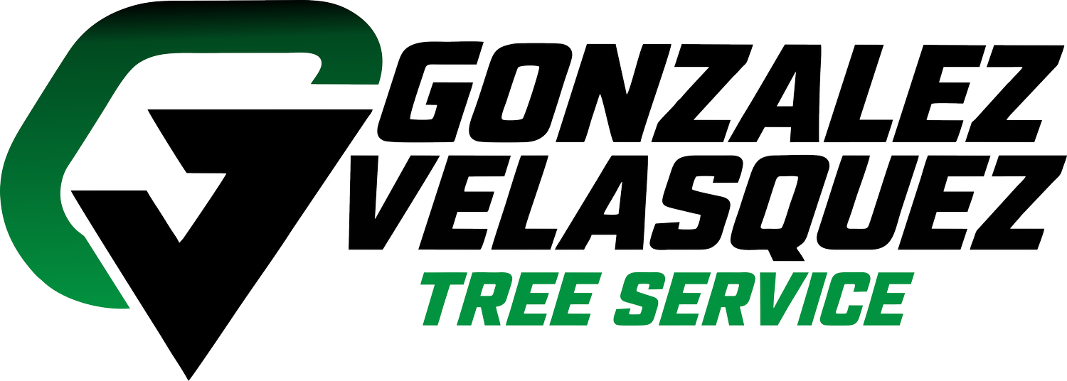 Gonzalez Velasquez Tree Service