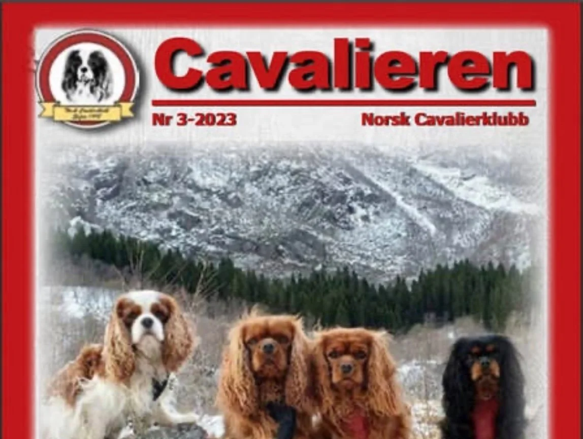 Stoff til juleutgaven av Cavalieren
