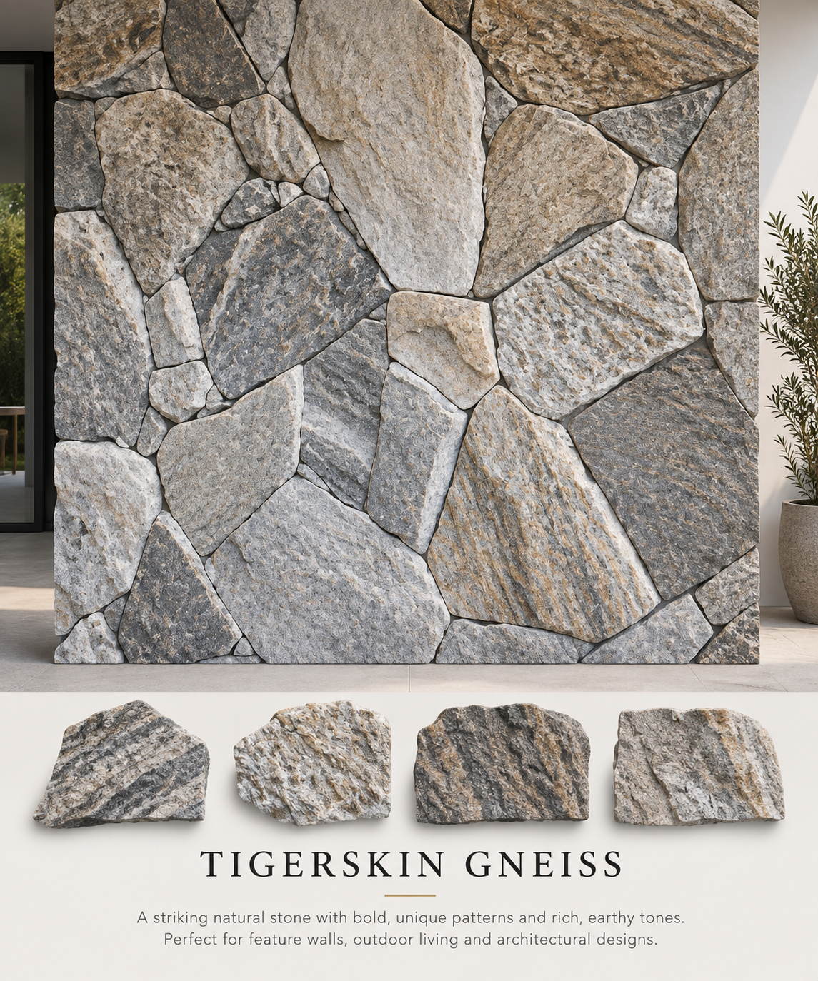 14_Tigerskin_Gneiss.png