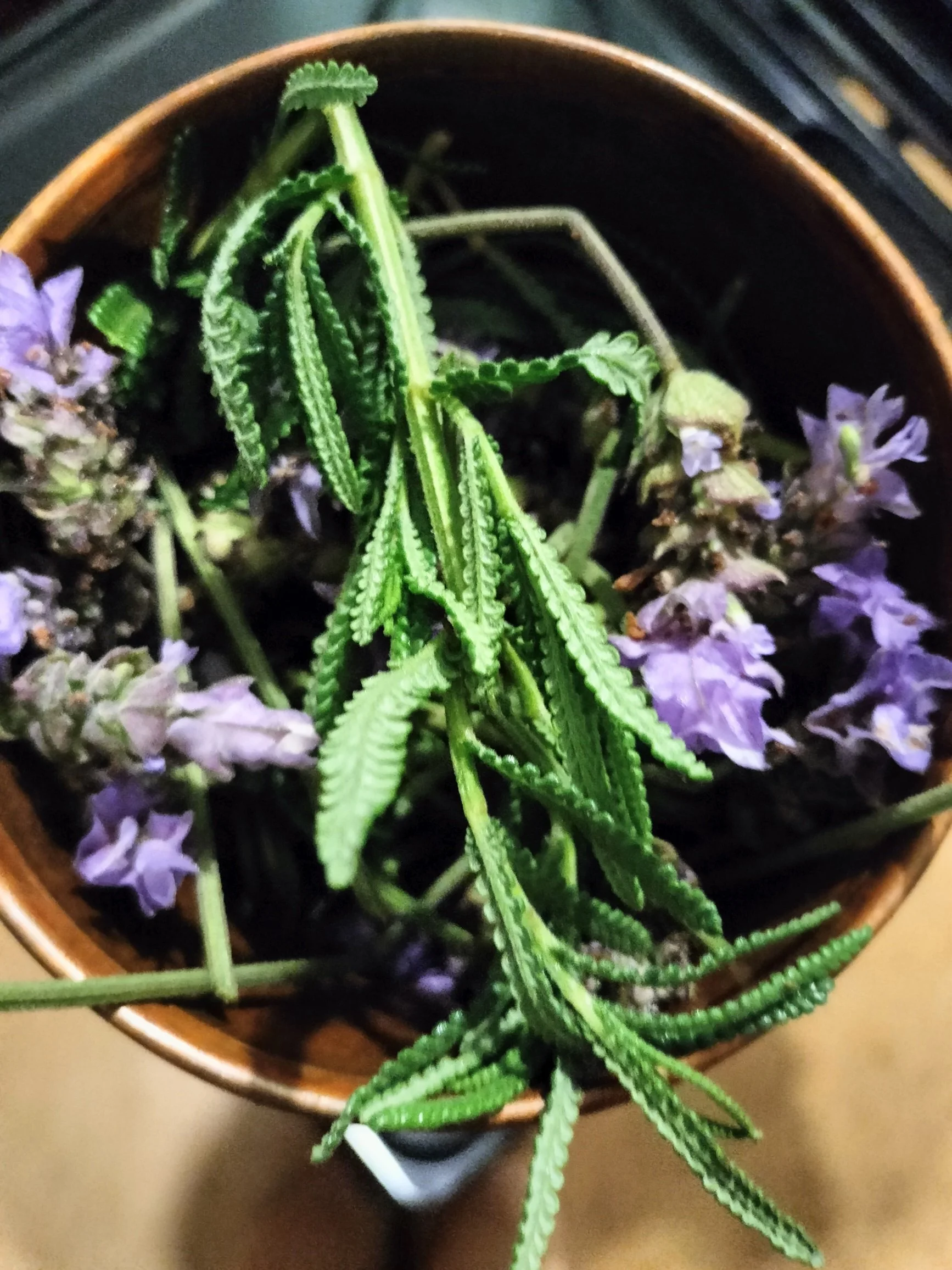Lavender