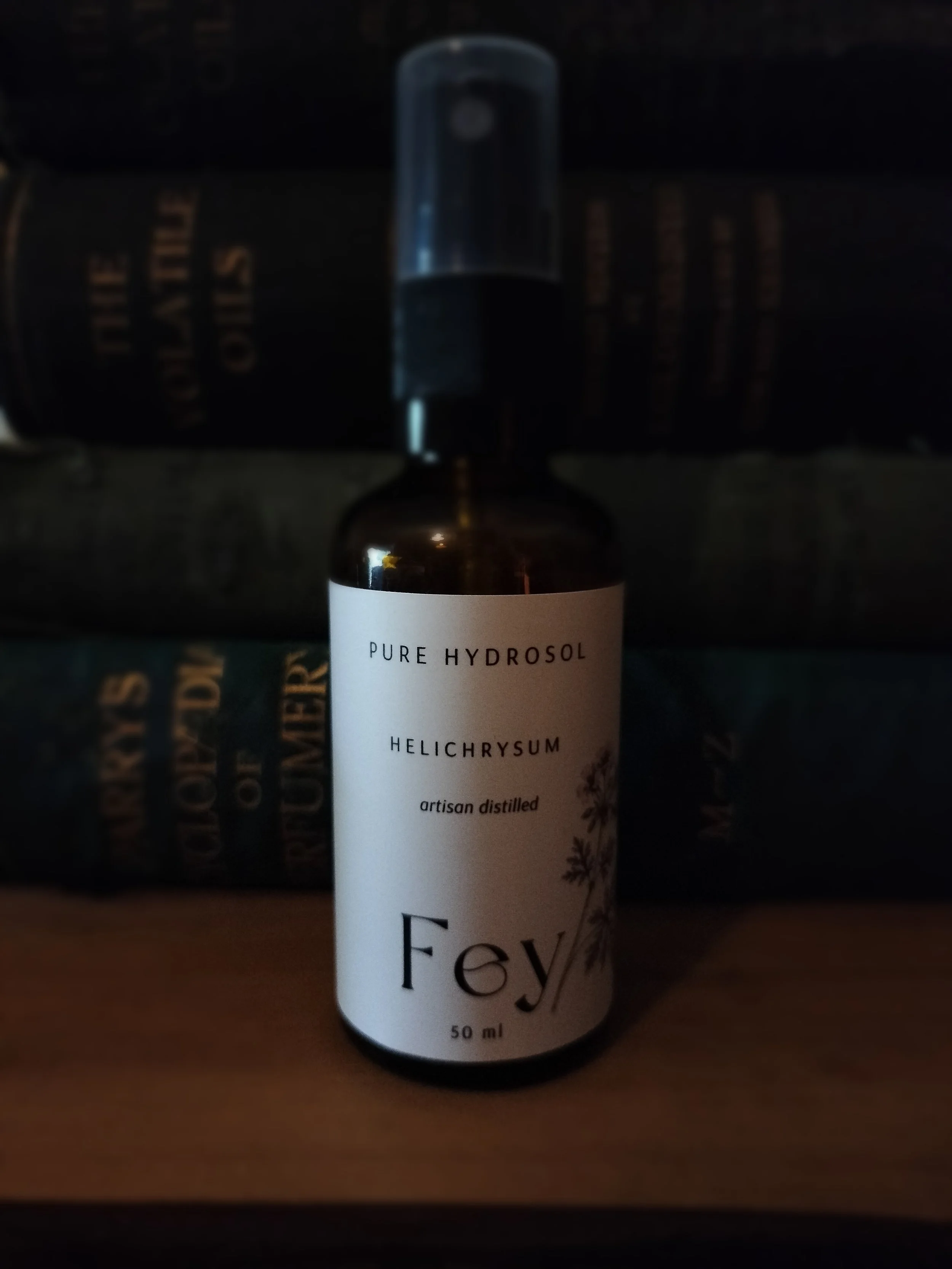 Helichrysum.jpg
