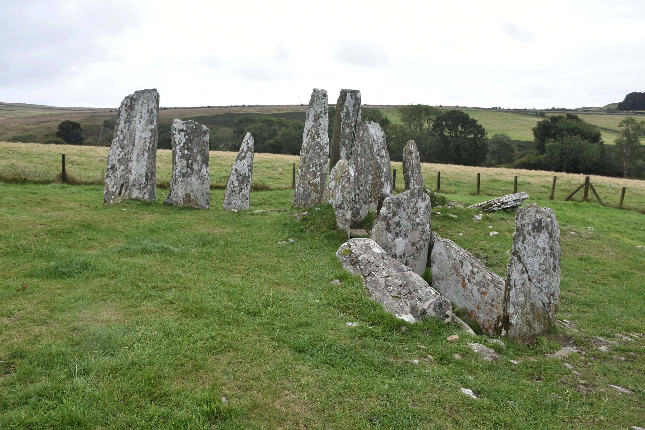 A line of standing stones on a grassy field with trees and rolling hills in the background.