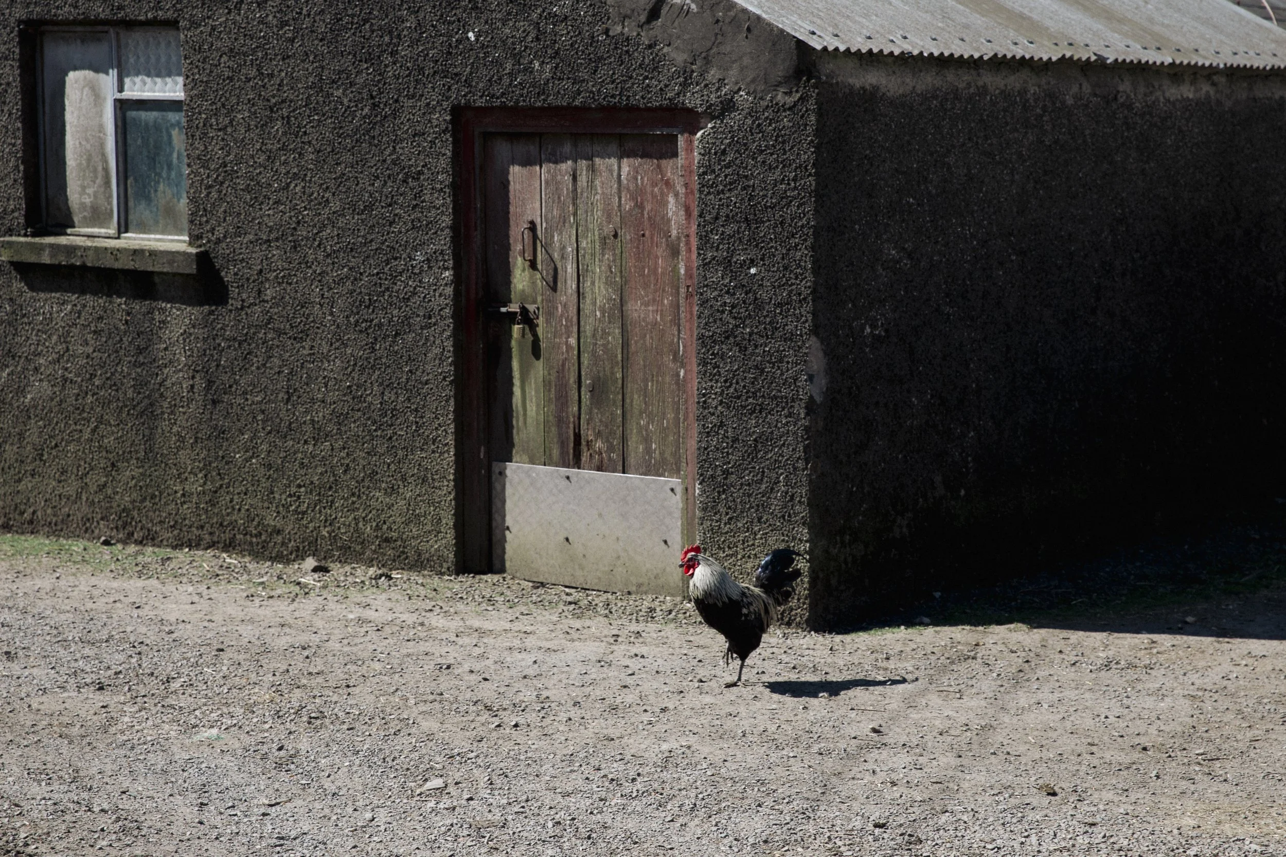 Exploring_A+N-7697.JPG