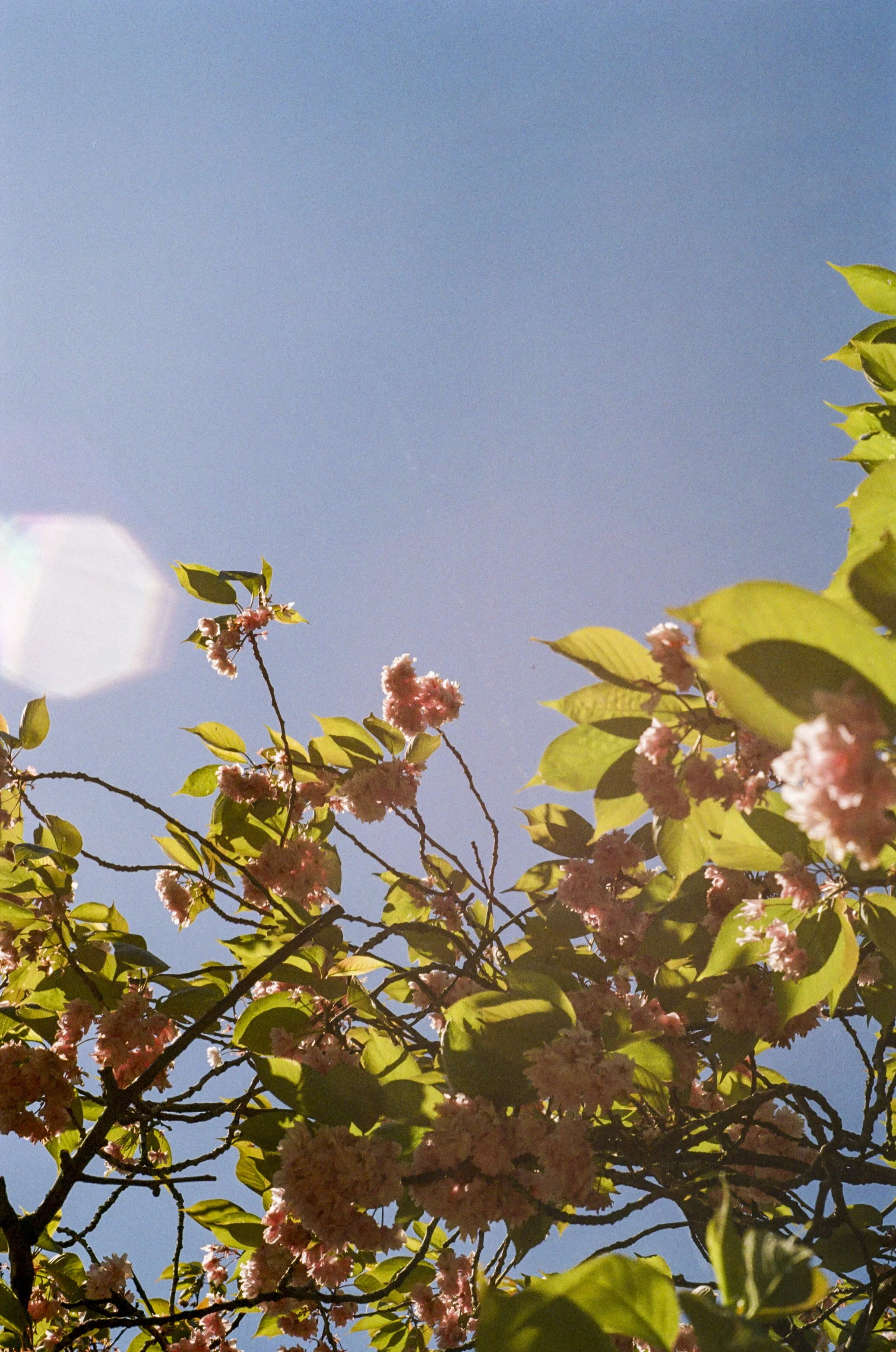 Exploring_A+N-000302710031.JPG