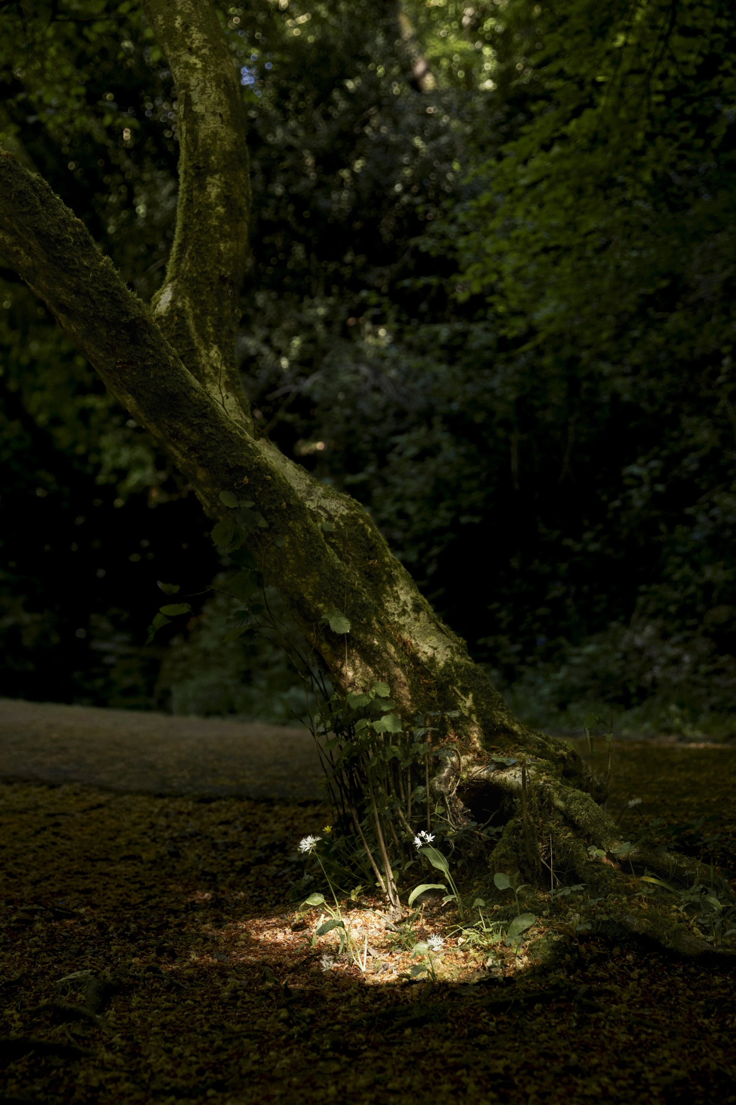 Exploring_A+N-9124.JPG