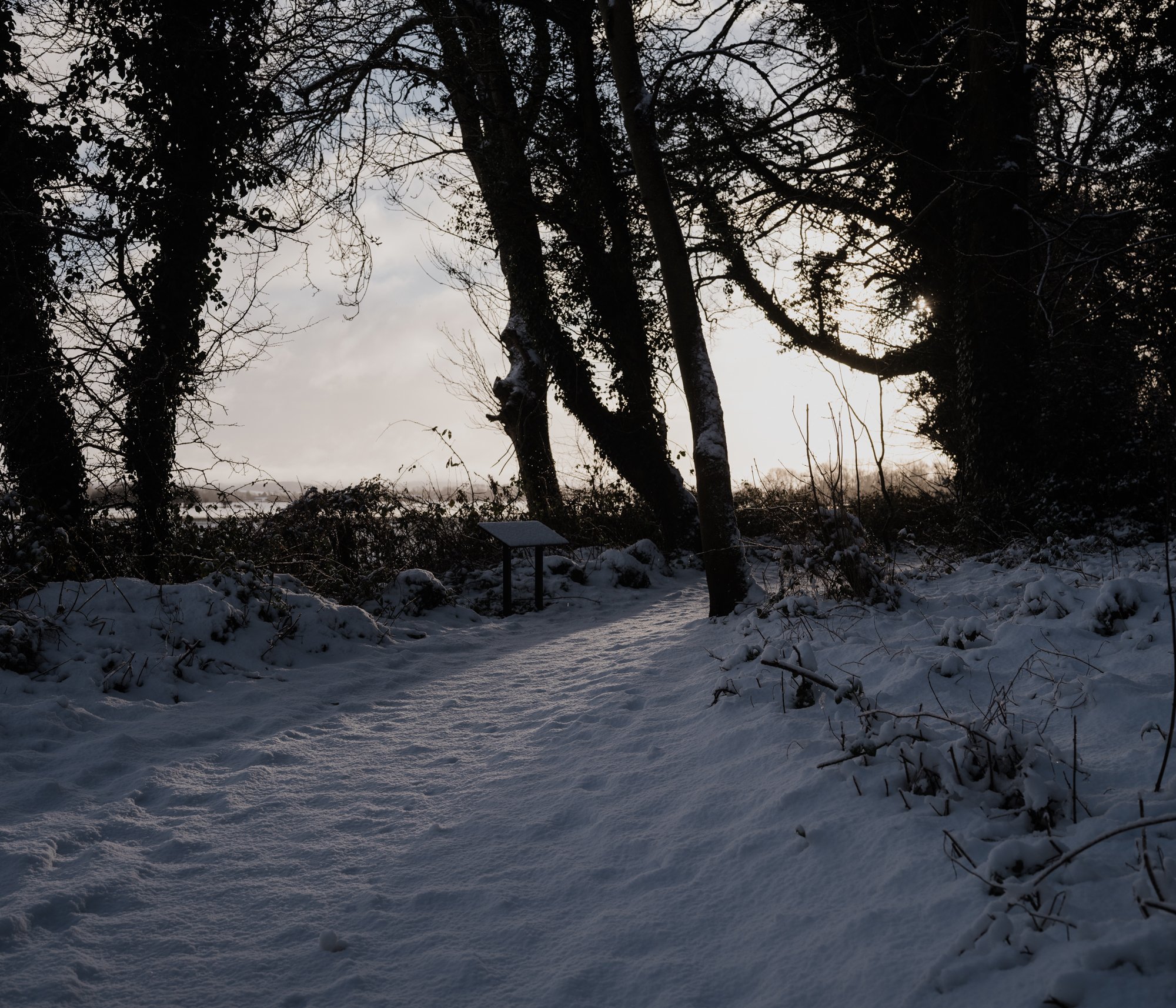 2026.01.05_LoughNeagh_JLphoto_LowRes-21.jpg
