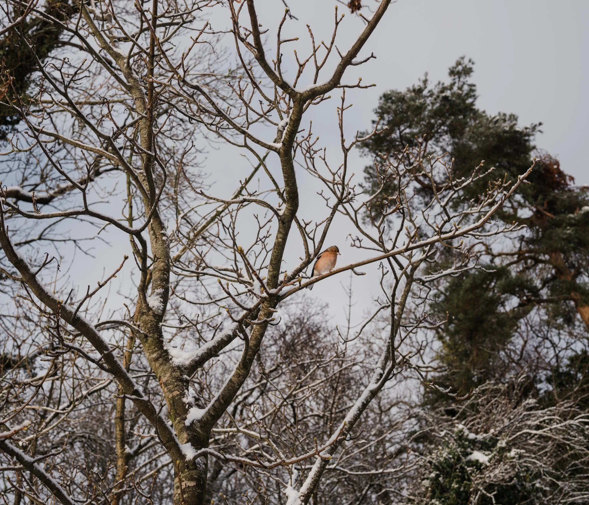 2026.01.05_LoughNeagh_JLphoto_LowRes-24.jpg