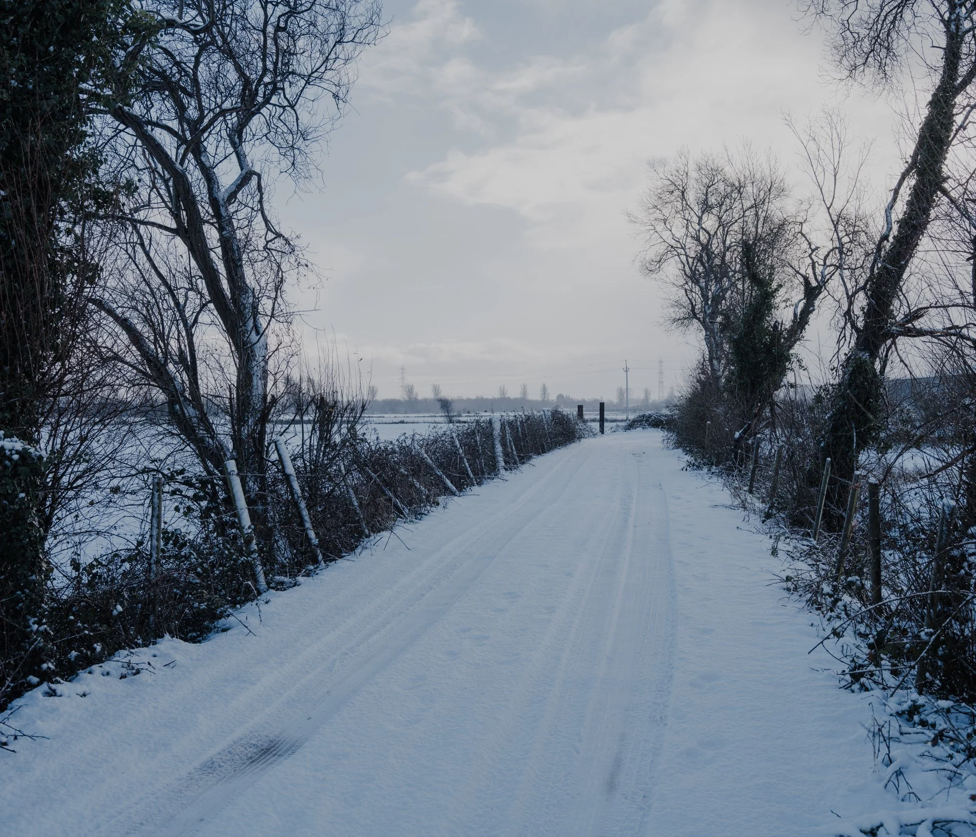 2026.01.05_LoughNeagh_JLphoto_LowRes-55.jpg