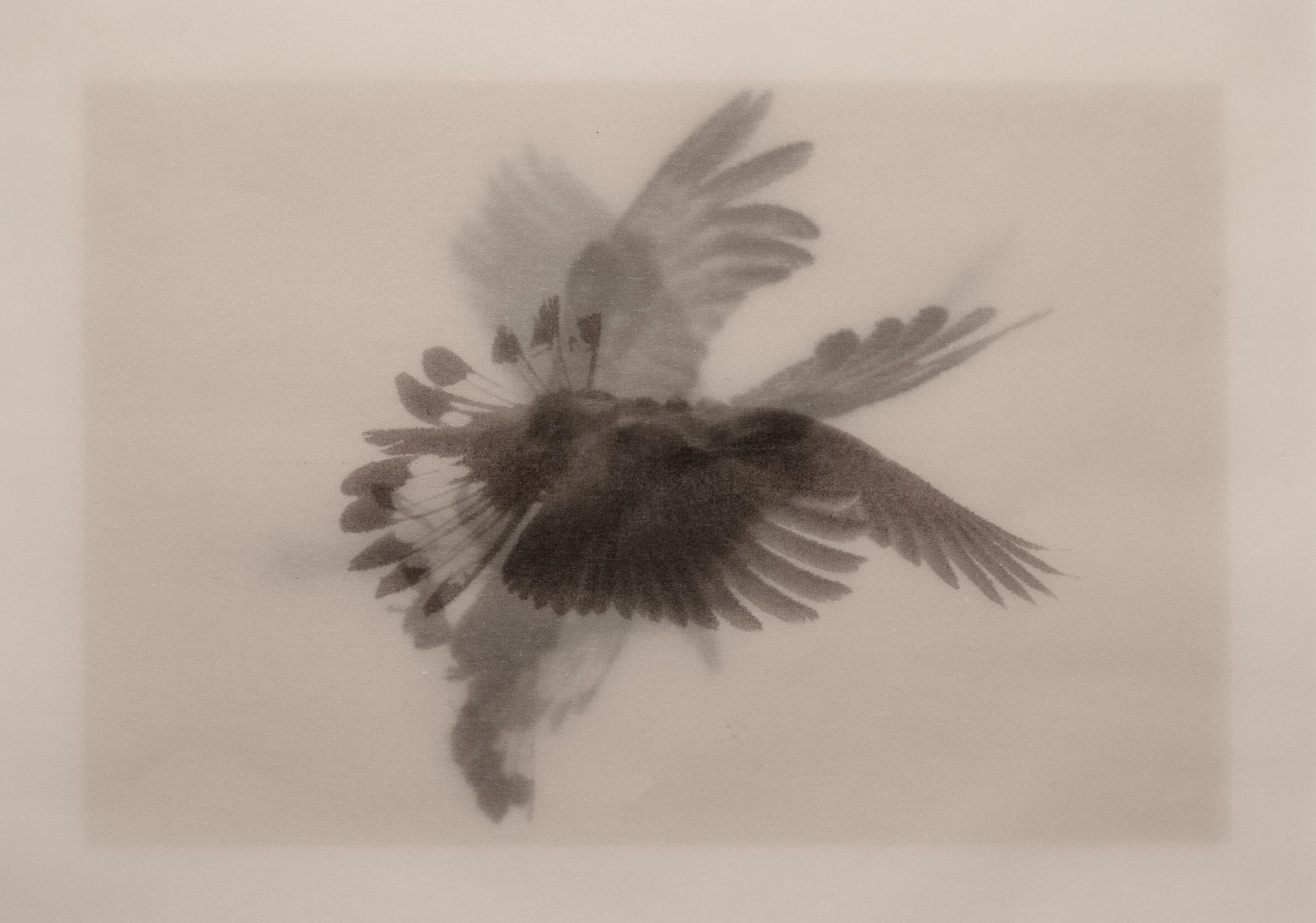 DSCF7145.jpg