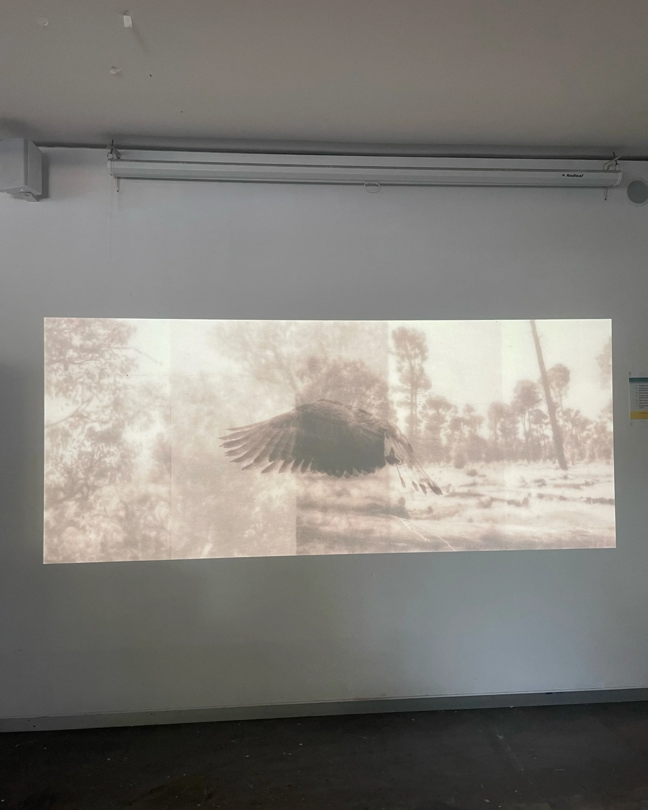 &lsquo;Traces&rsquo;, 2025, process and outcome. 

For ARTF2055, Photography and Printmaking Studio:

Photographic series responding to the prompt of &lsquo;Resilience&rsquo;.

Work as part of the UWA Summer Collective Exhibition, 2025.