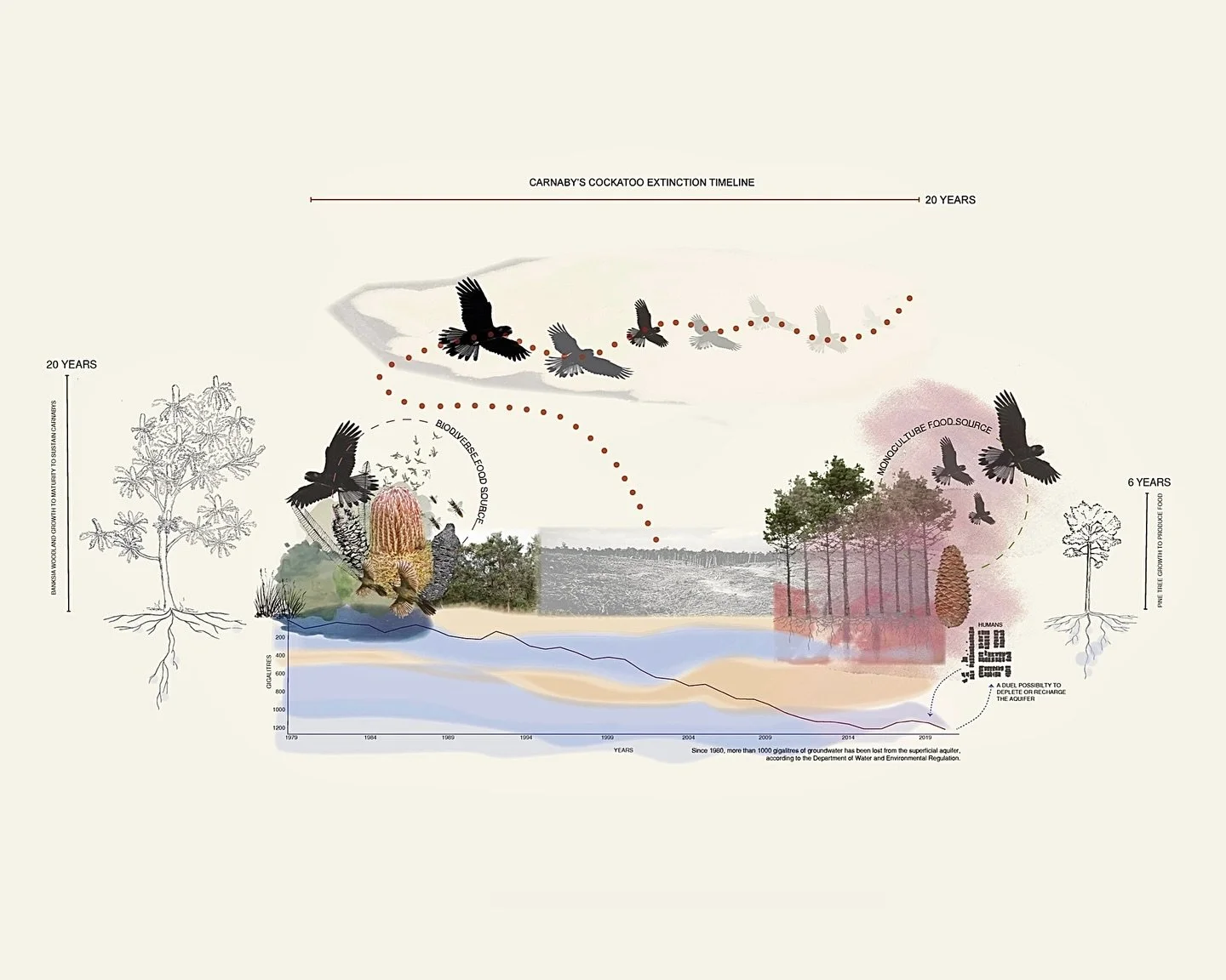 &lsquo;Wicked Problem Diagram&rsquo;, The Gnangara Pines, 2025.

For LACH2001 Landscape Dynamic Studio:
&ldquo;The Gnangara Studio&rdquo;

Work as part of the UWA Summer Collective Exhibition, 2025.

Wicked Problem Statement:

&ldquo;In a complex lan