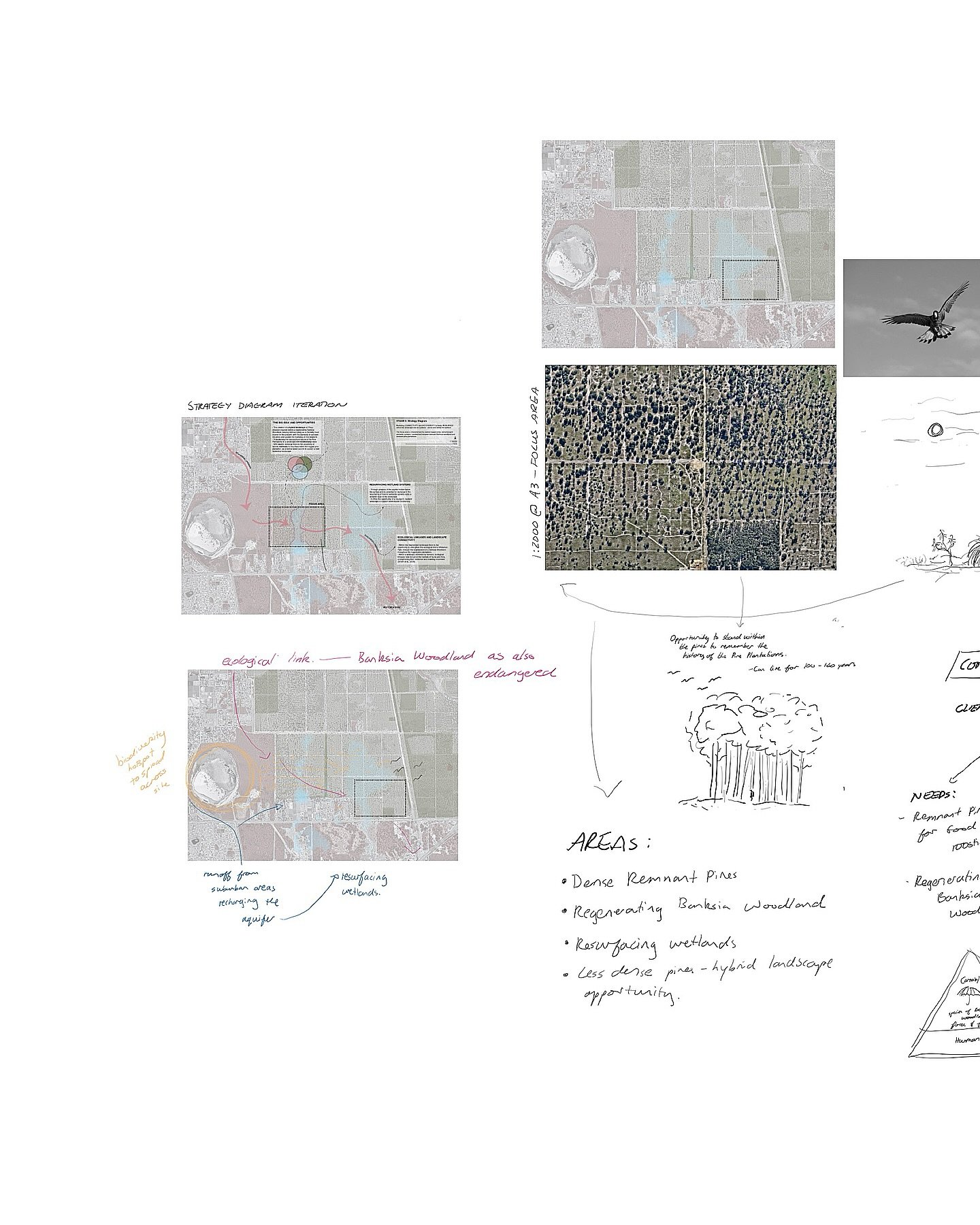 &lsquo;Design Development: Process Work &amp; Preliminary Design Intent&rsquo;, The Gnangara Pines, 2025.

For LACH2001 Landscape Dynamic Studio:
&ldquo;The Gnangara Studio&rdquo;

&ldquo;The design process is viewed through the lens of ecological re
