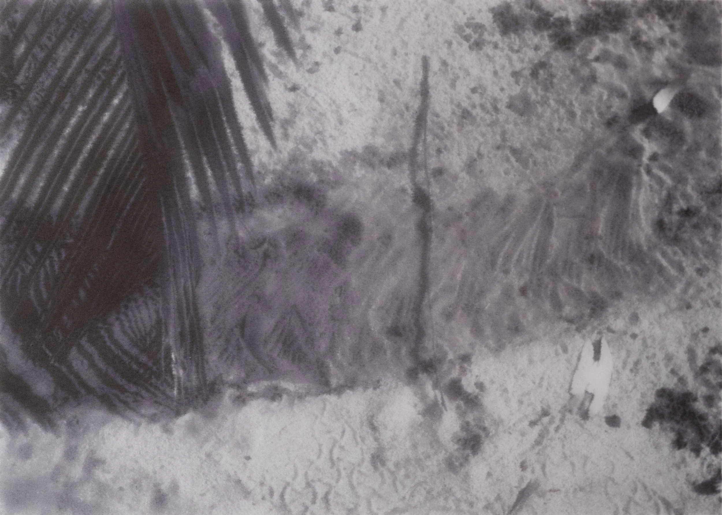 DSCF6871.jpg
