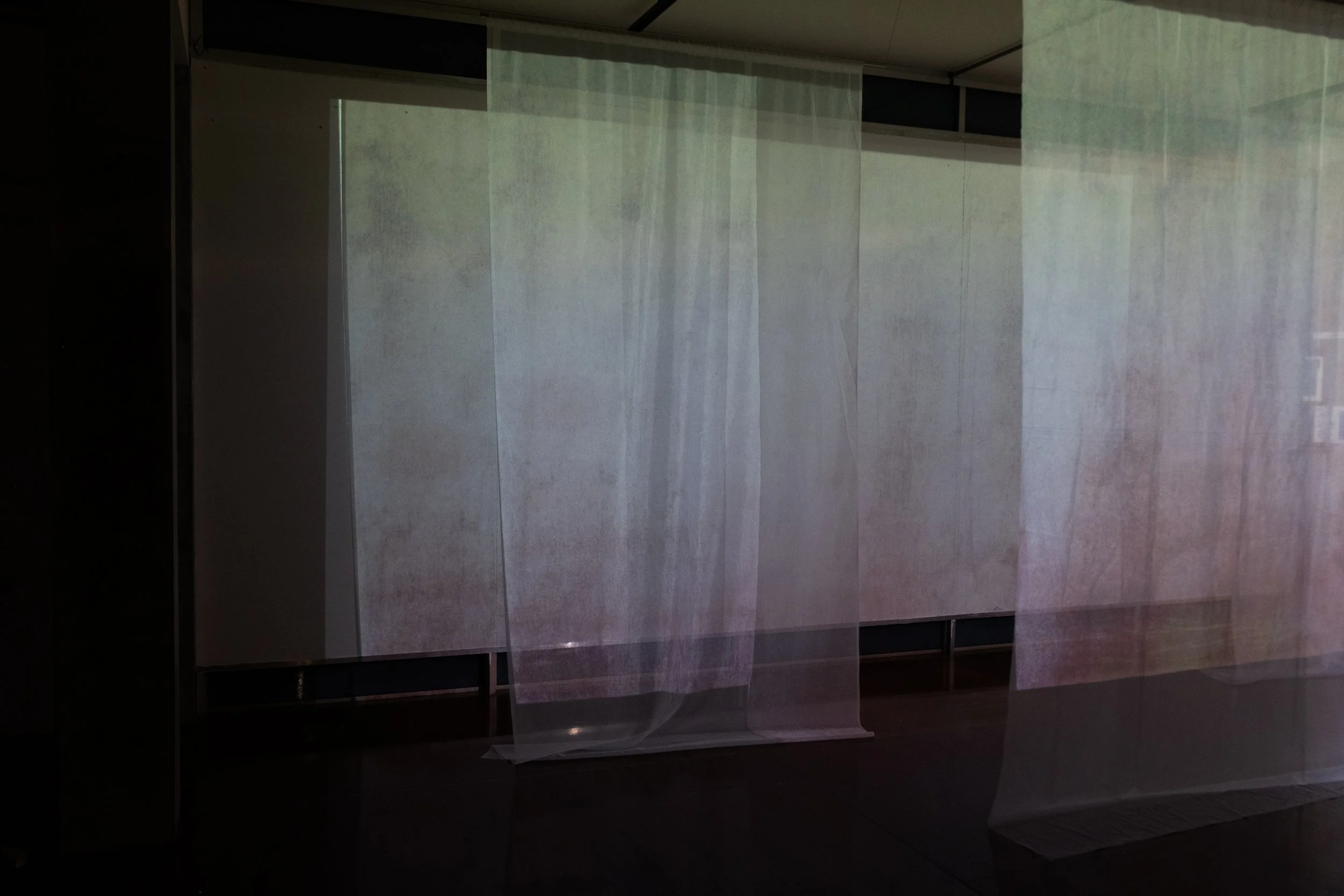 DSCF9561.jpg